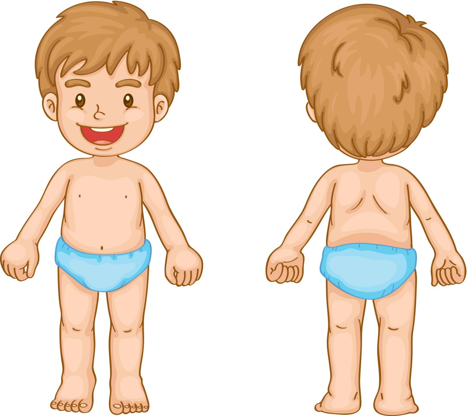 Illustration of young boy front and back