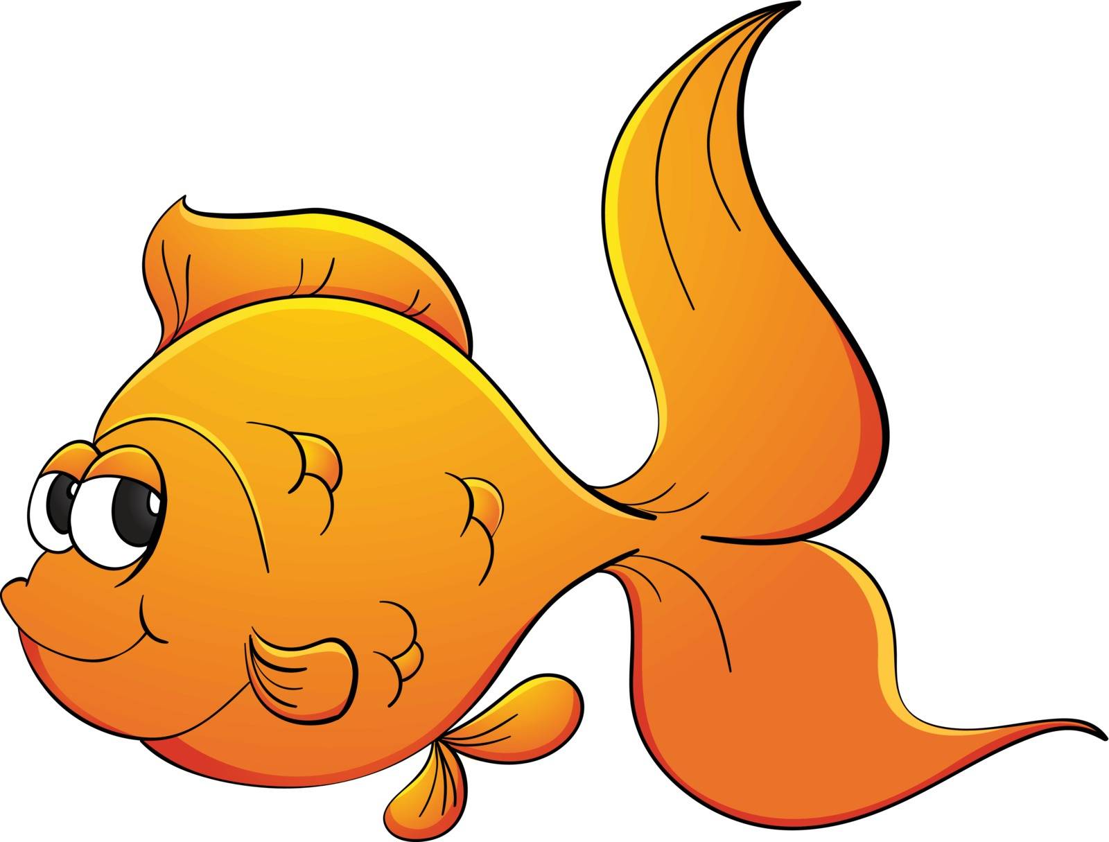 Illustration of goldfish on white