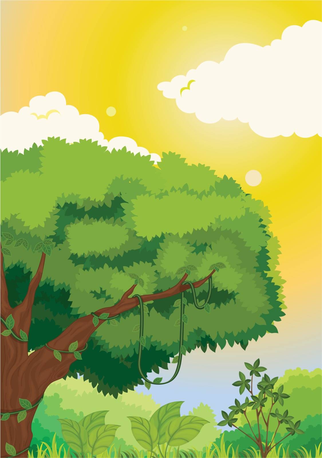 Forest illustration on a white background