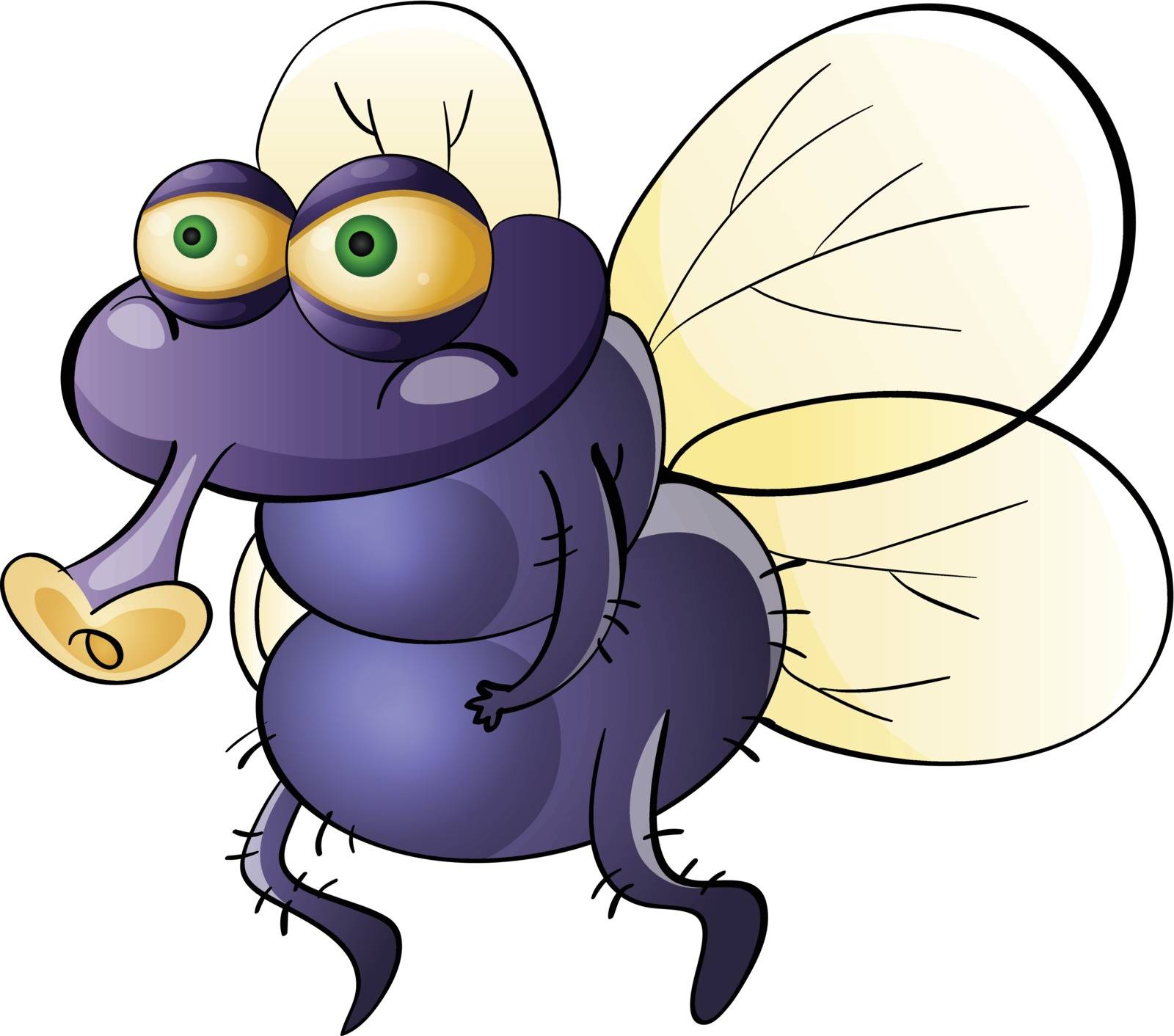 Illustration of a dirty housefly