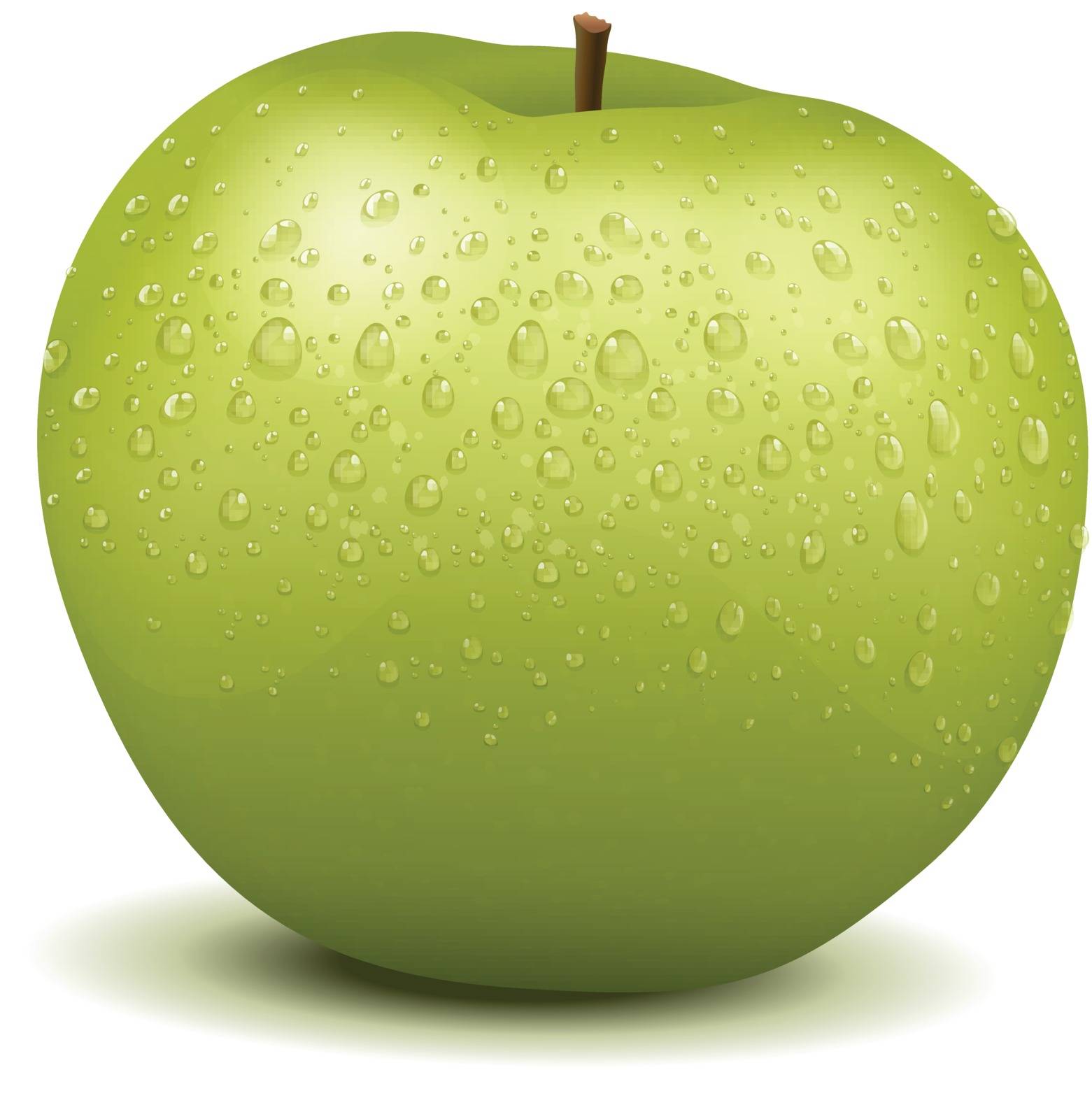 Illustration of a realistic apple