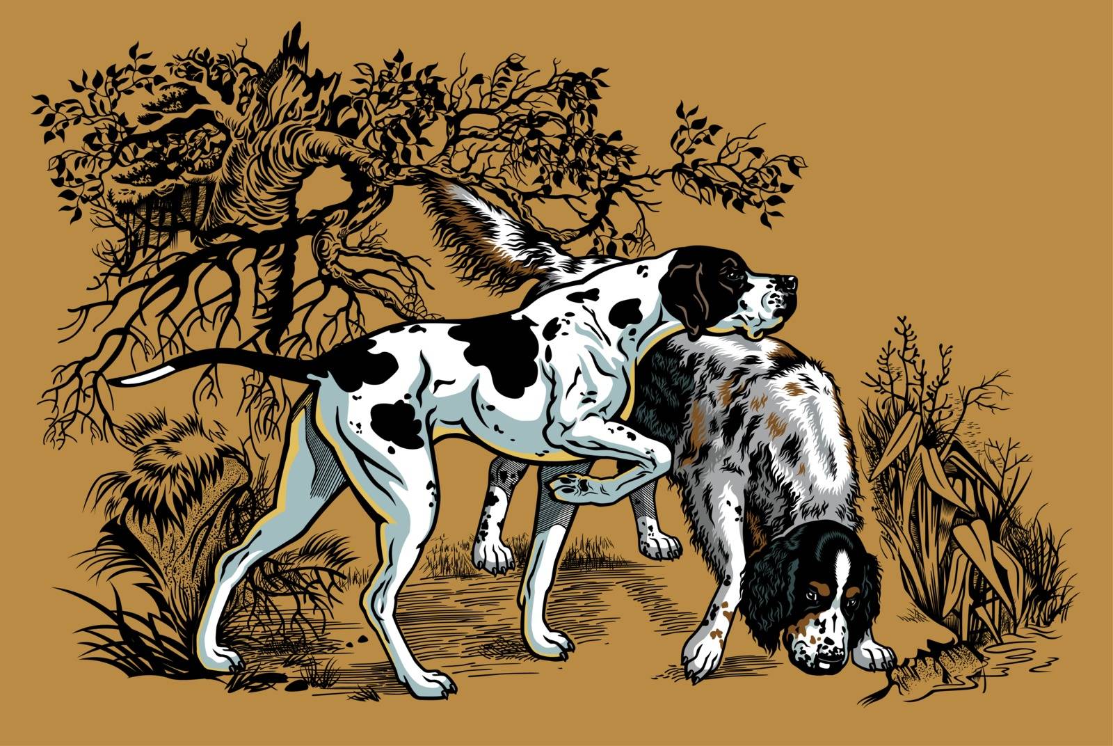 hunting dogs in forest, english pointer and setter breeds