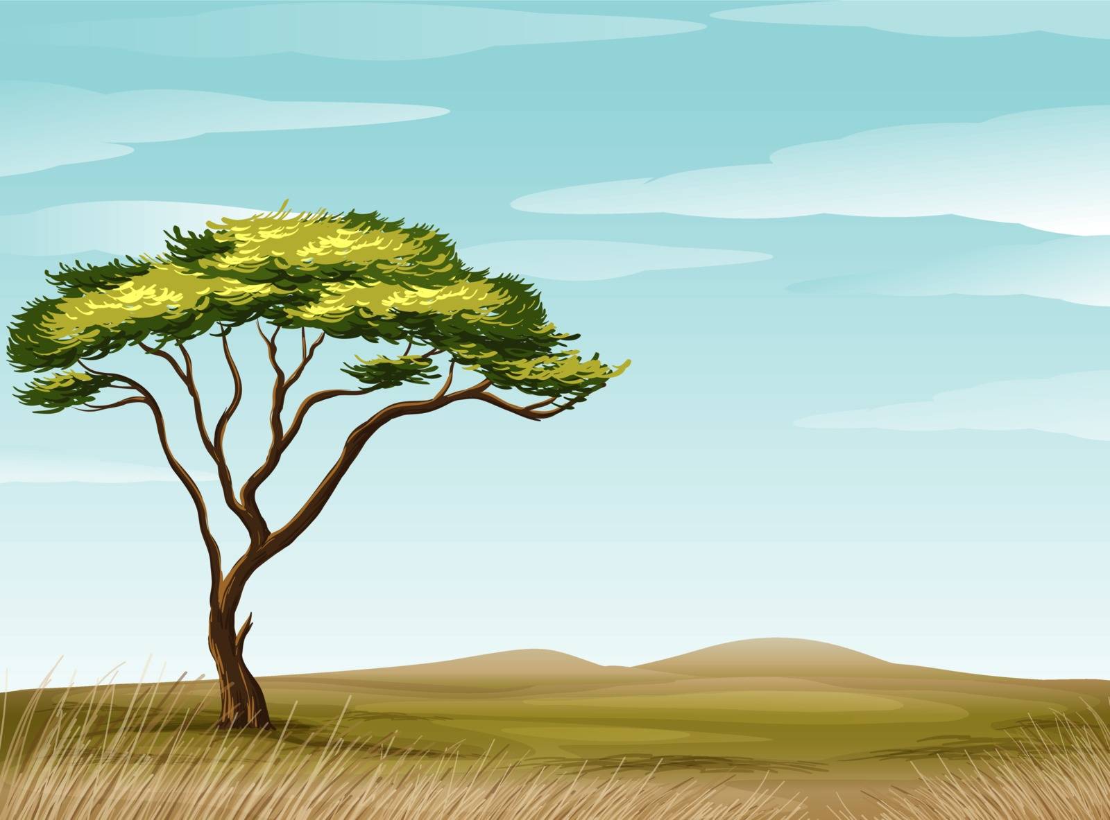 illustration of a savannah landscape