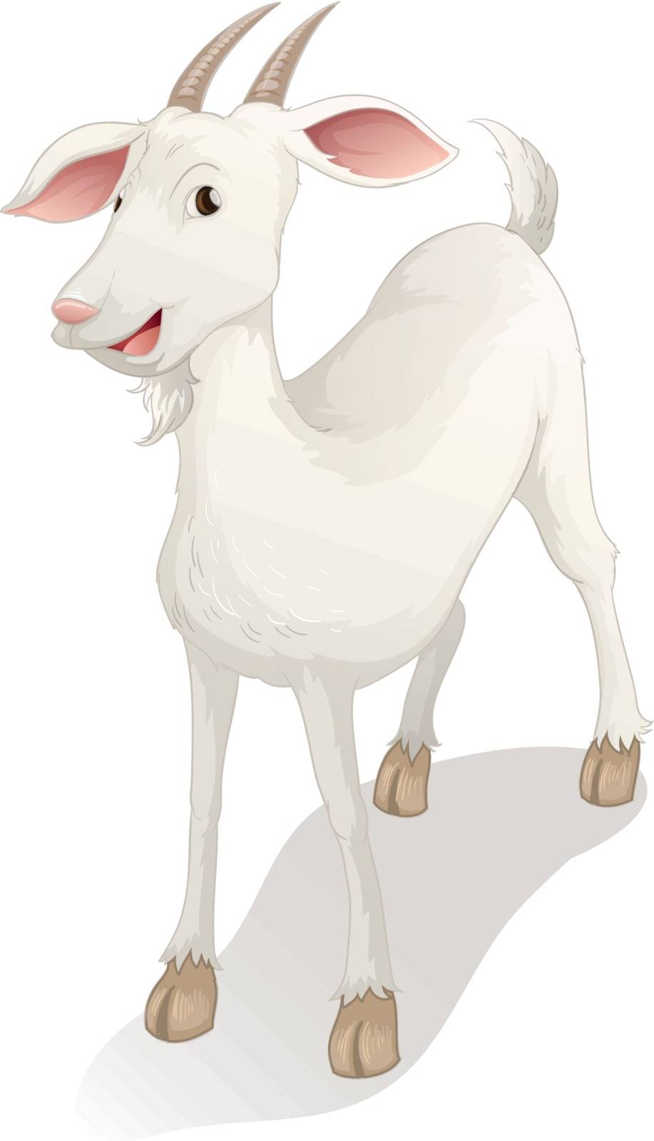 illustration of a goat on a white background
