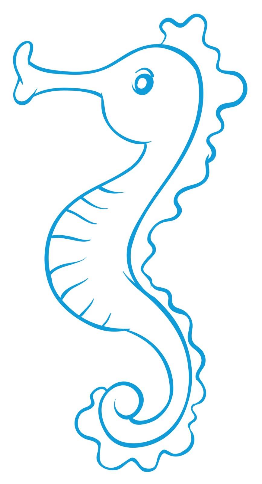 illustration of a sea horse on a white background
