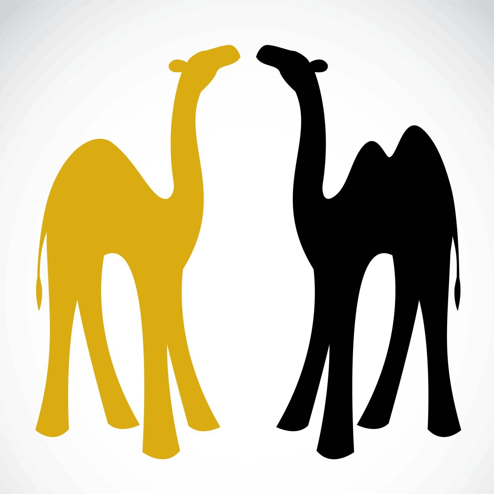 Vector image of an camel on white background