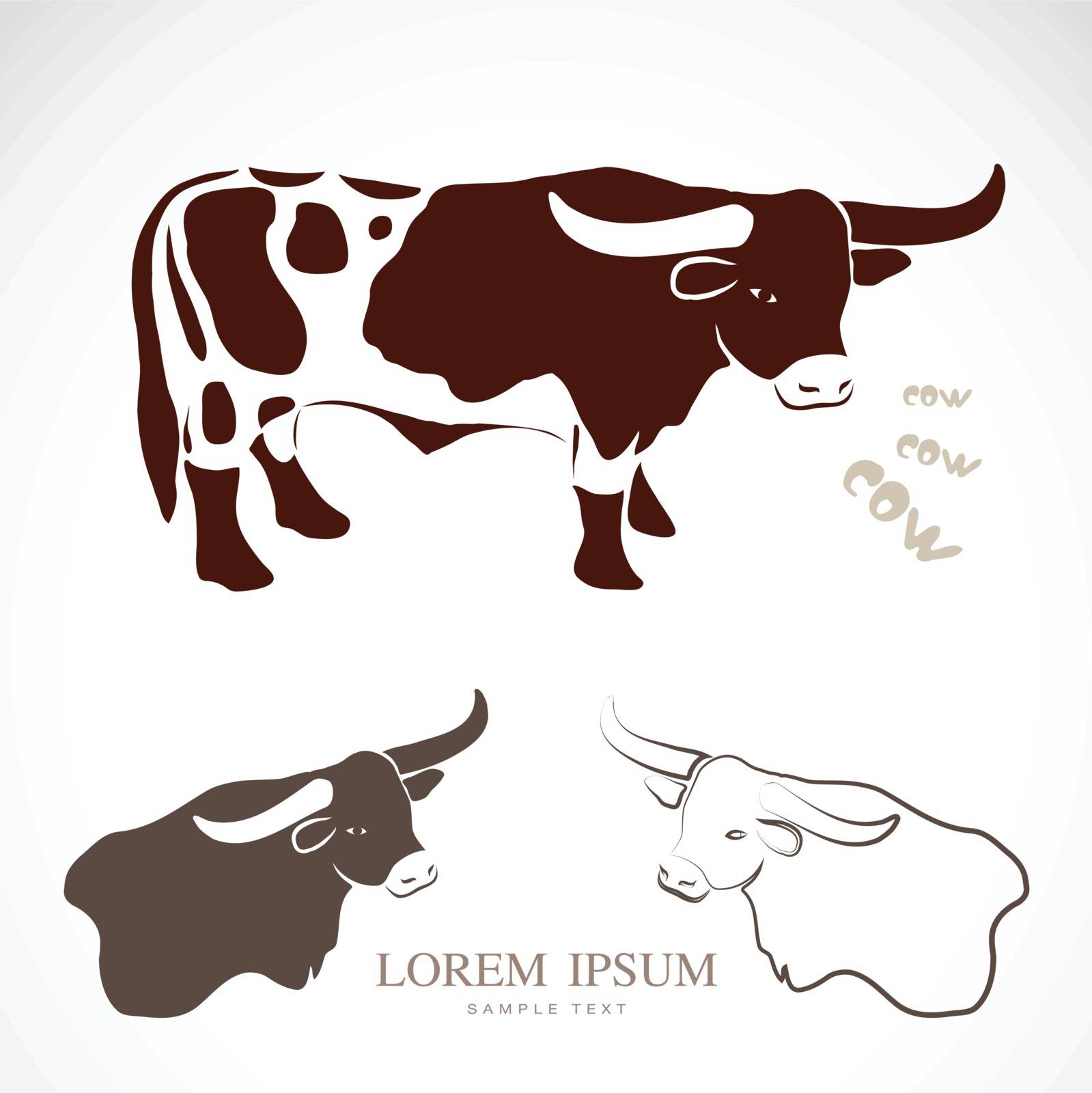 Vector image of an cow by yod67