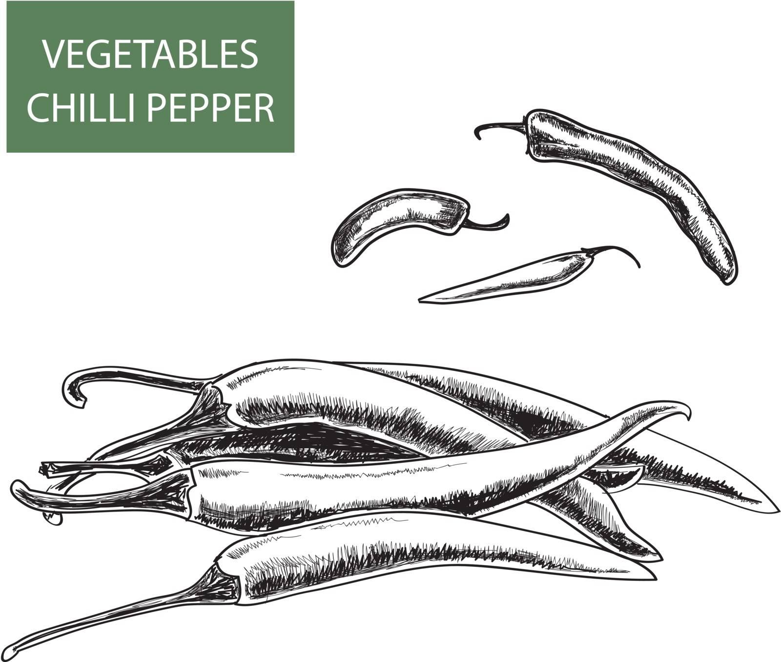 Pepper. Hand drawn illustrations