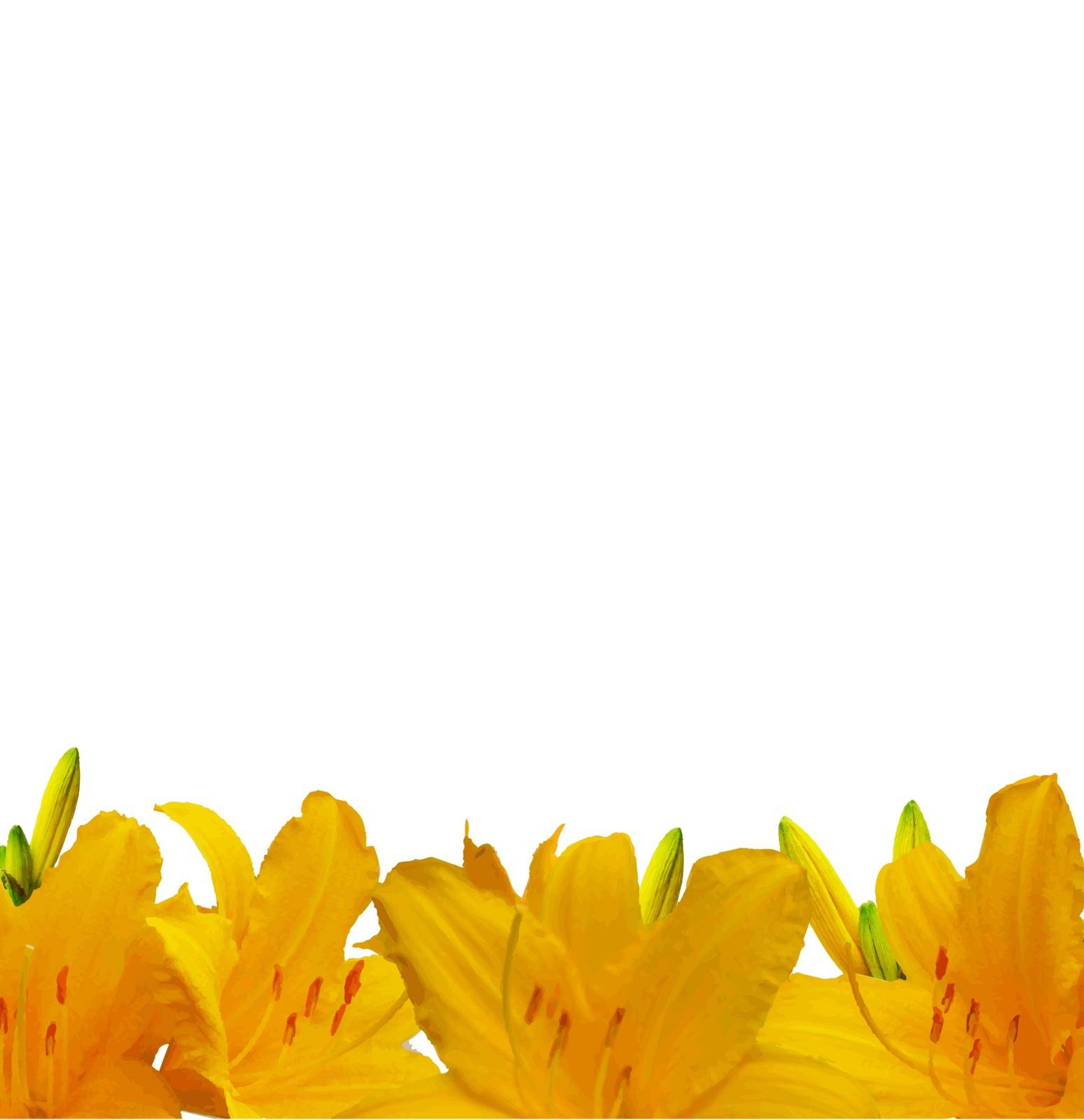 Yellow Lilies Border, Vector Illustration
