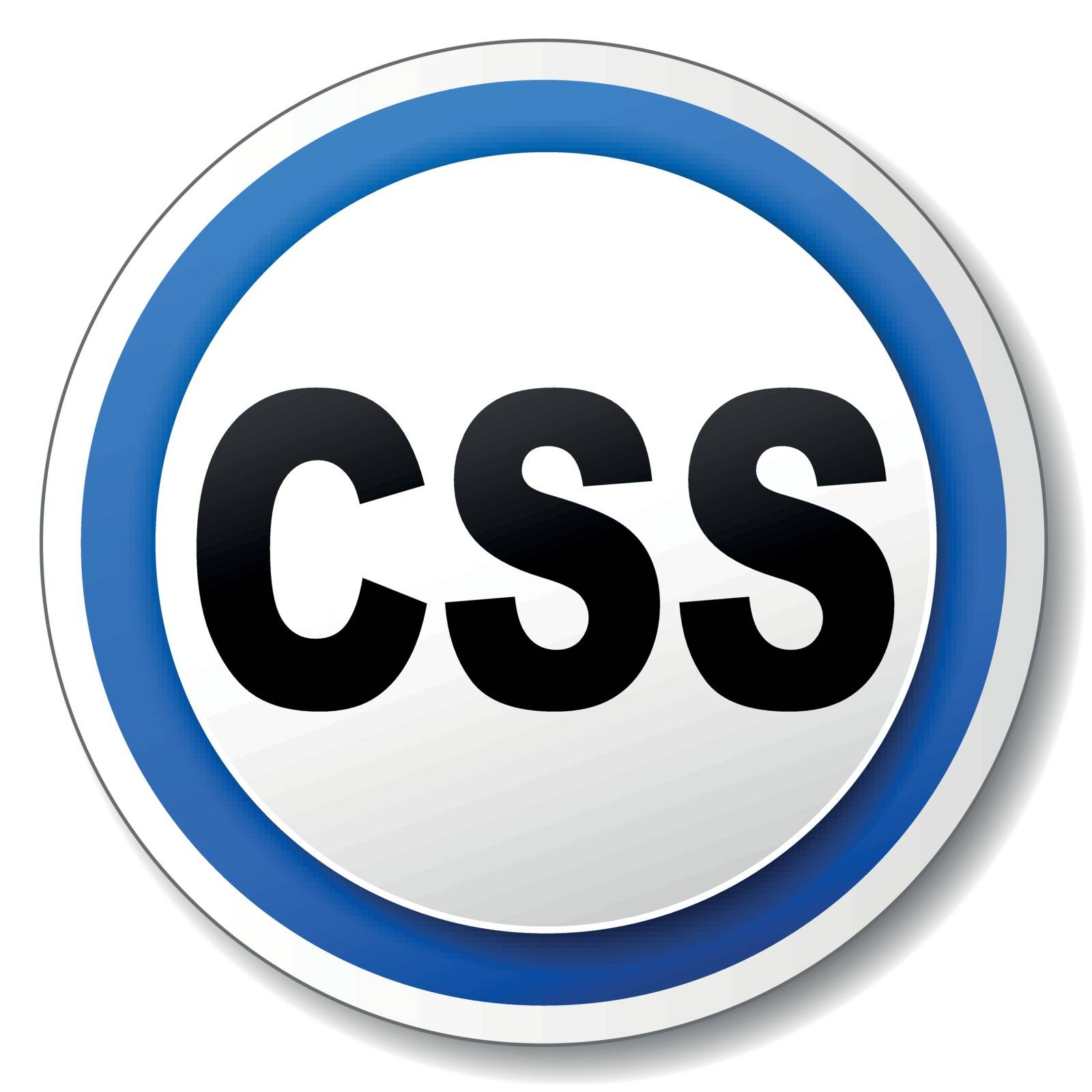 Vector illustration of black and blue css icon