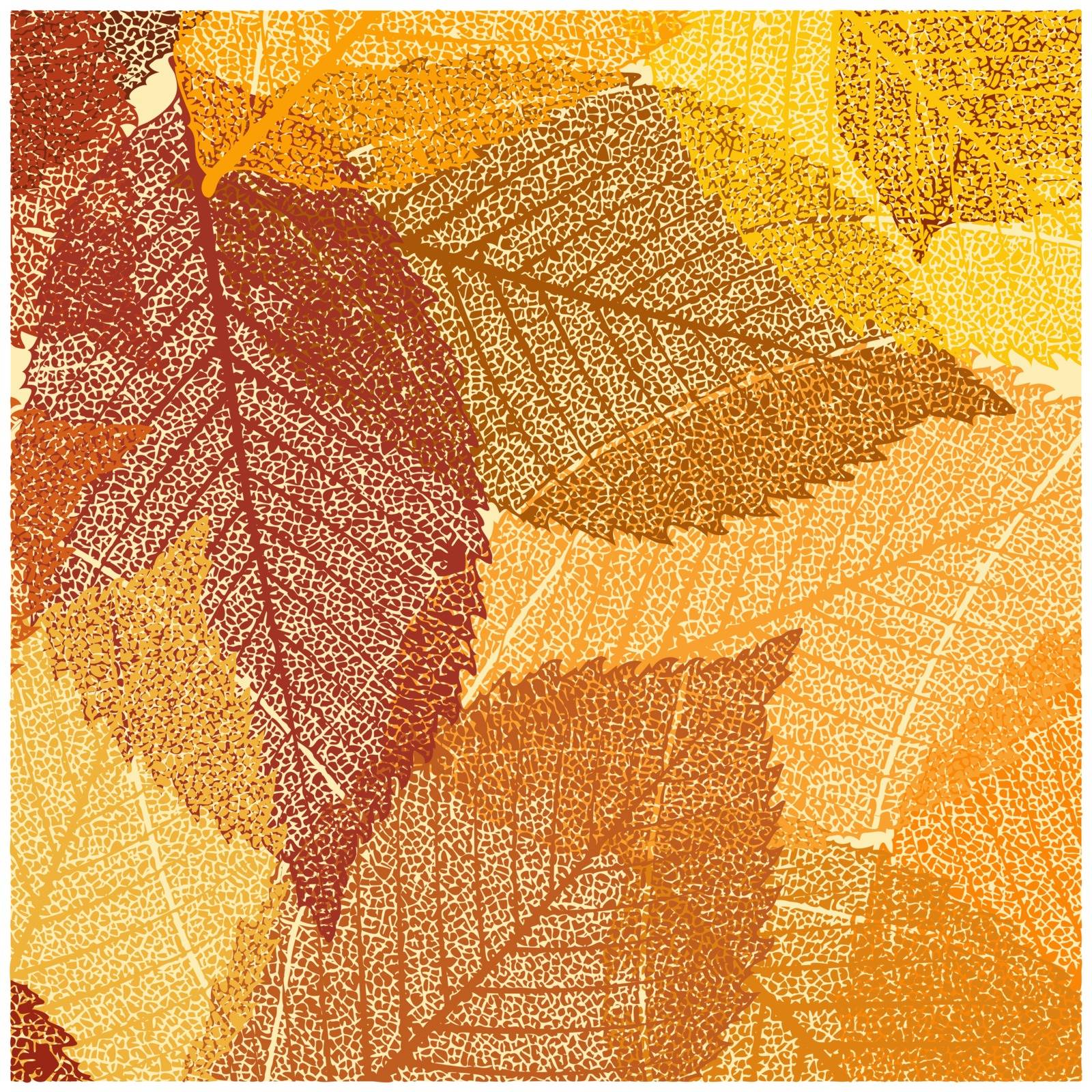 Dry autumn leaves template. EPS 8 by Petrov_Vladimir