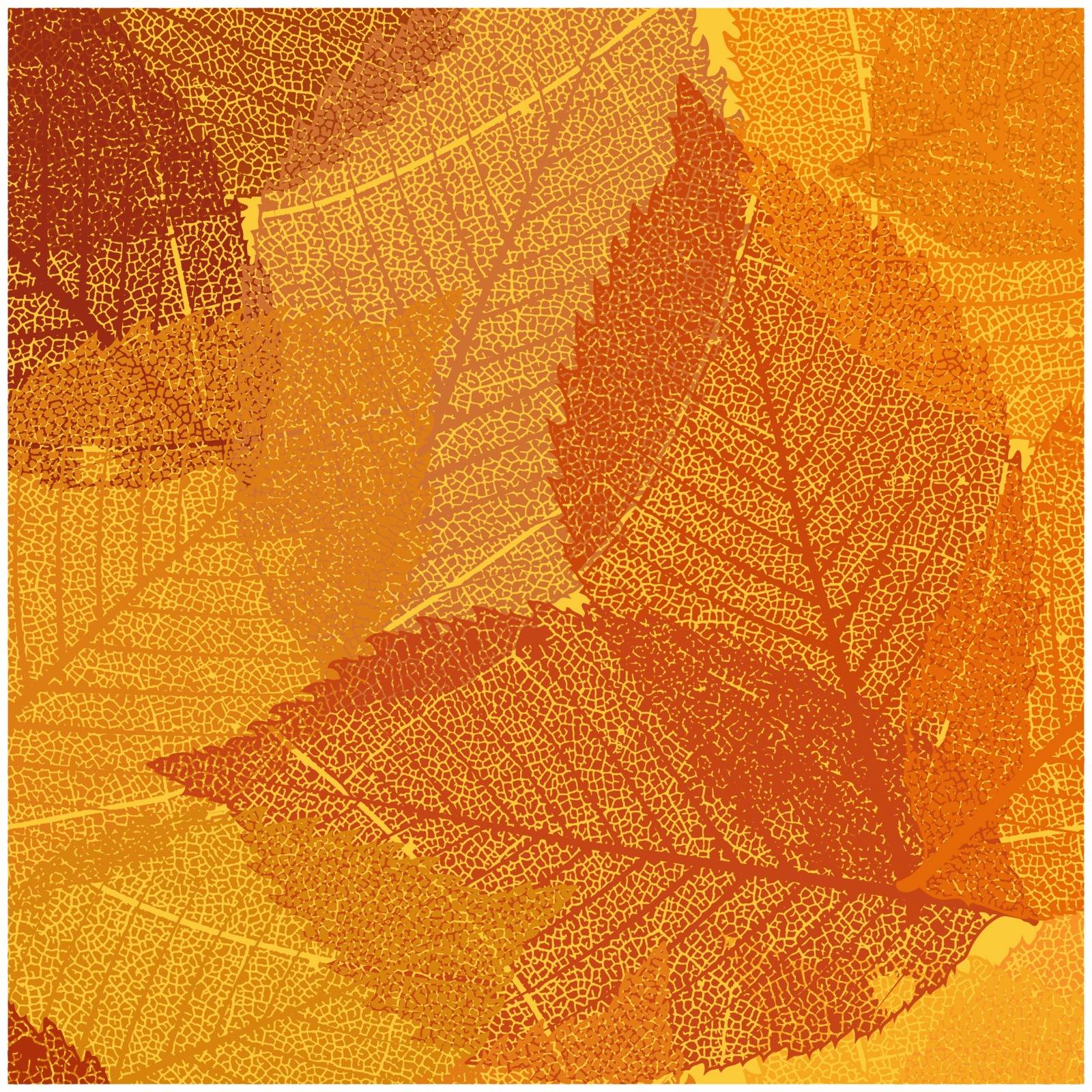 Dry autumn leaves template. EPS 8 by Petrov_Vladimir
