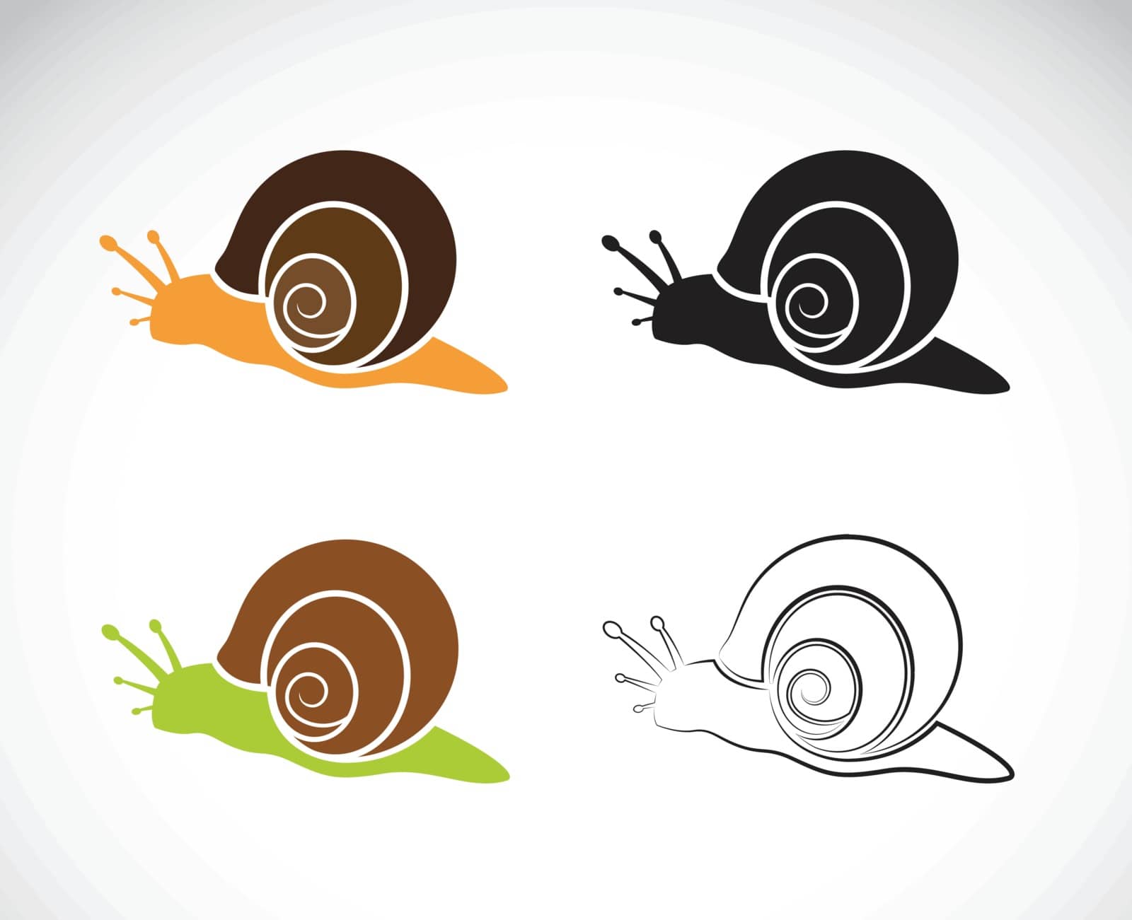 Vector image of an snail on white background