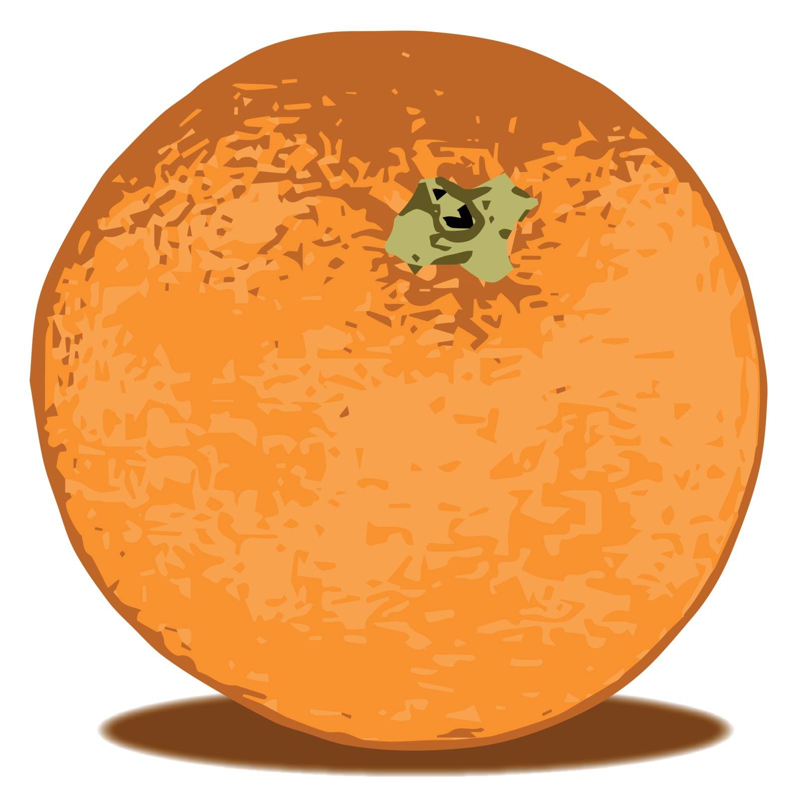 A trpical orange isolated on a white background