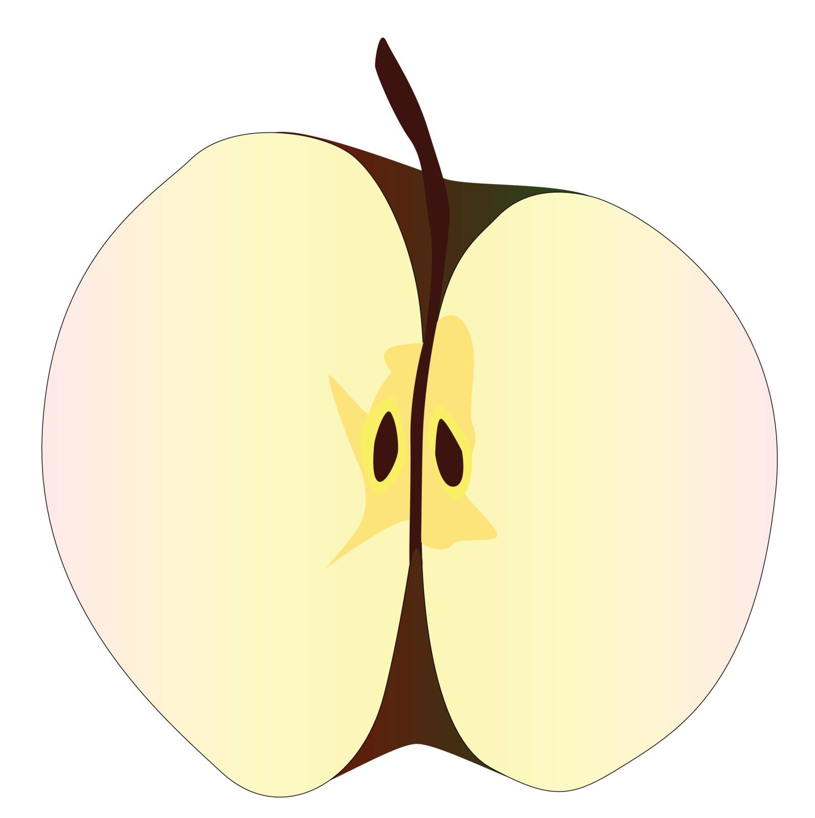 A typical apple cut in half set against a white background