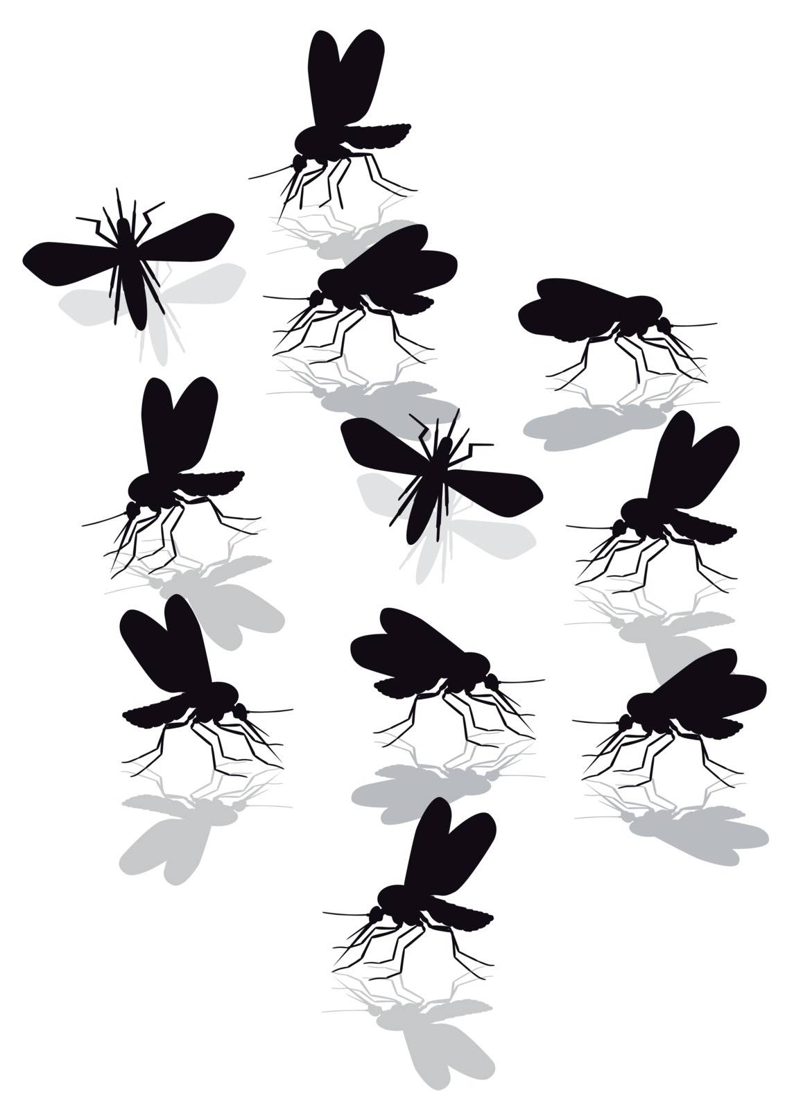 mosquitoes plague by scusi