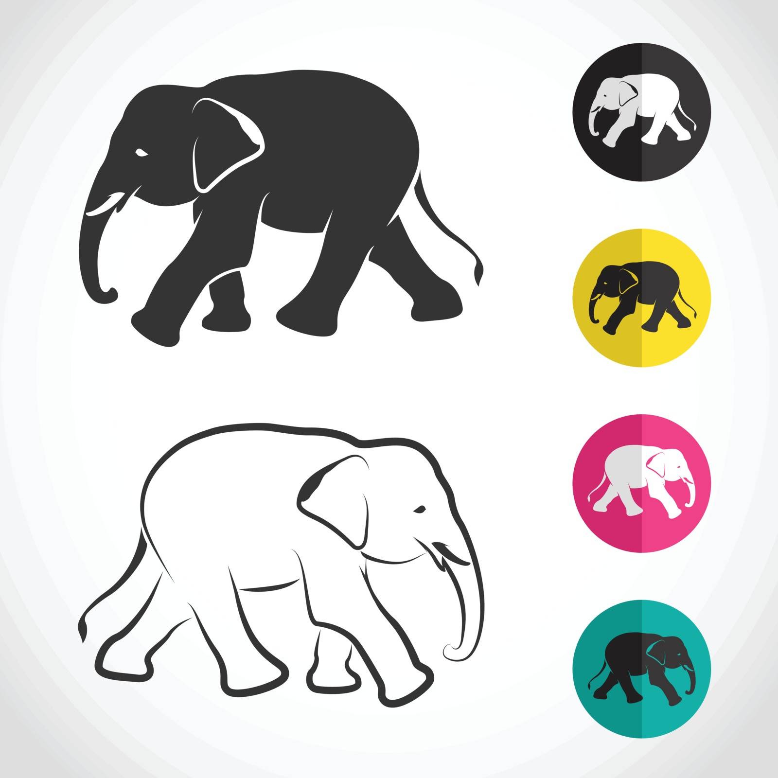 Vector image of an elephant on white background