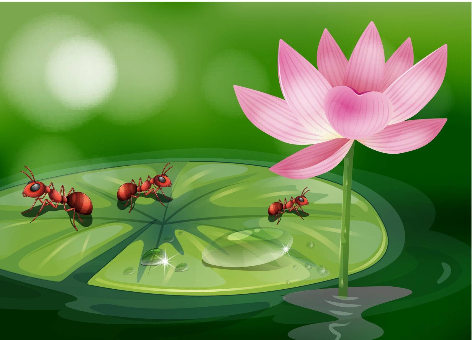Illustration of the three ants above the waterlily plant