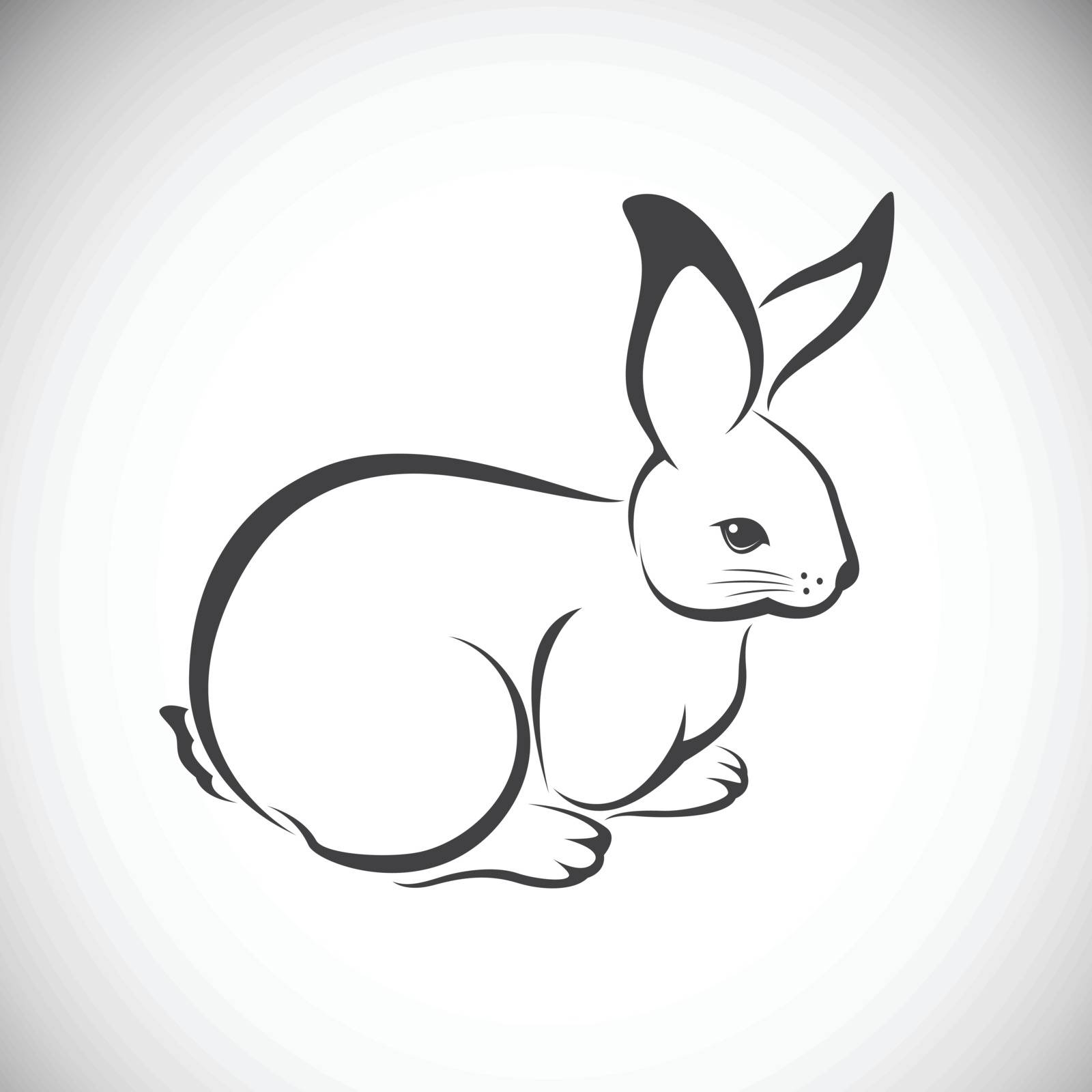 Vector image of an rabbit  by yod67