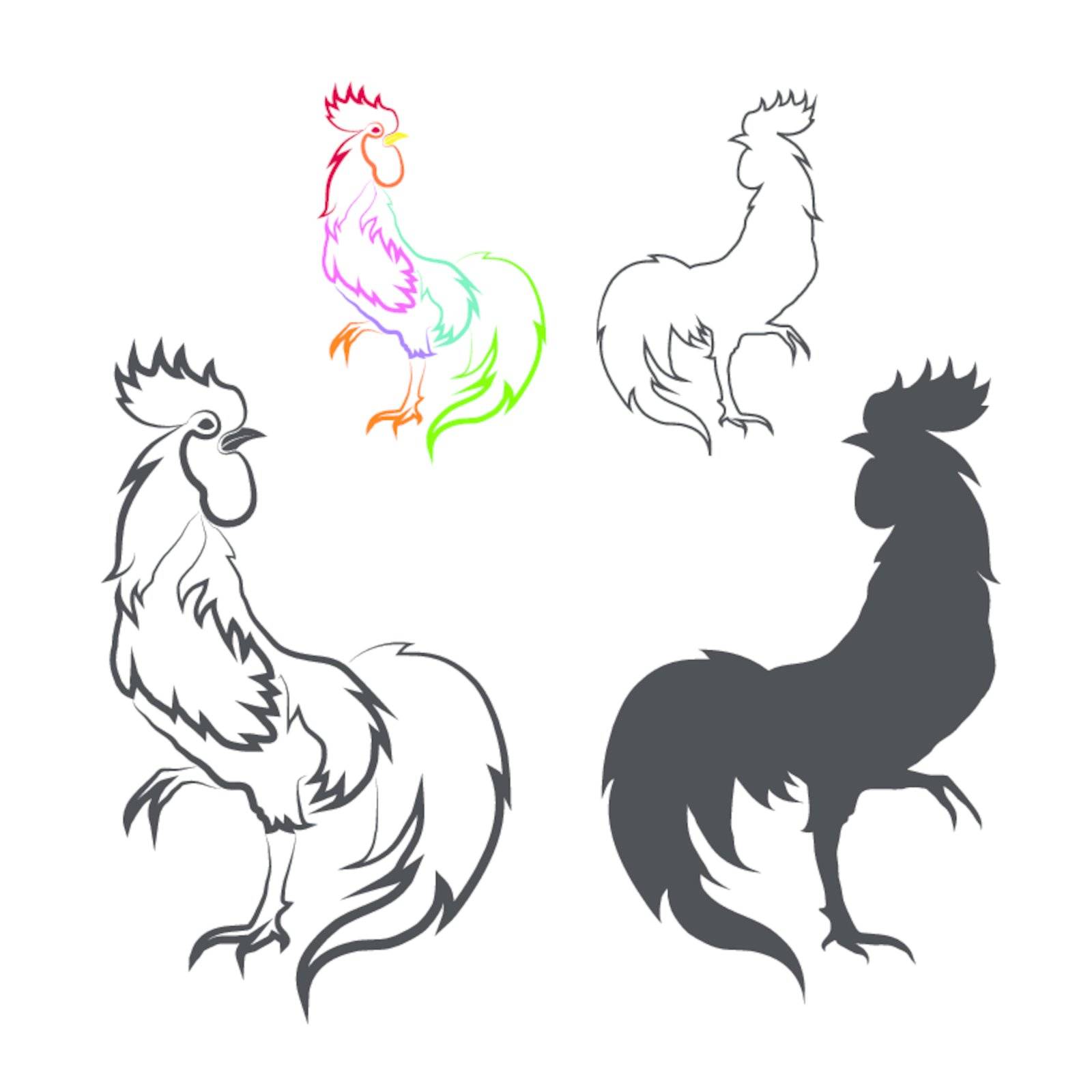 Vector image of an cock on white background