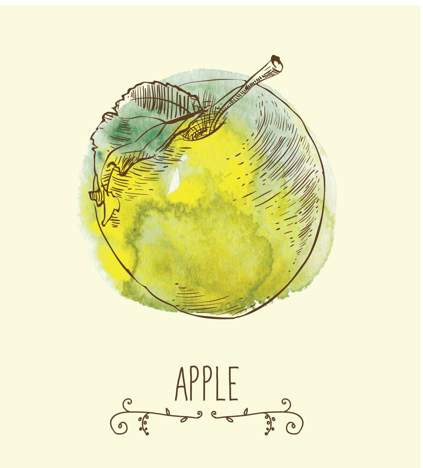 fresh useful eco-friendly apple by OlgaBerlet