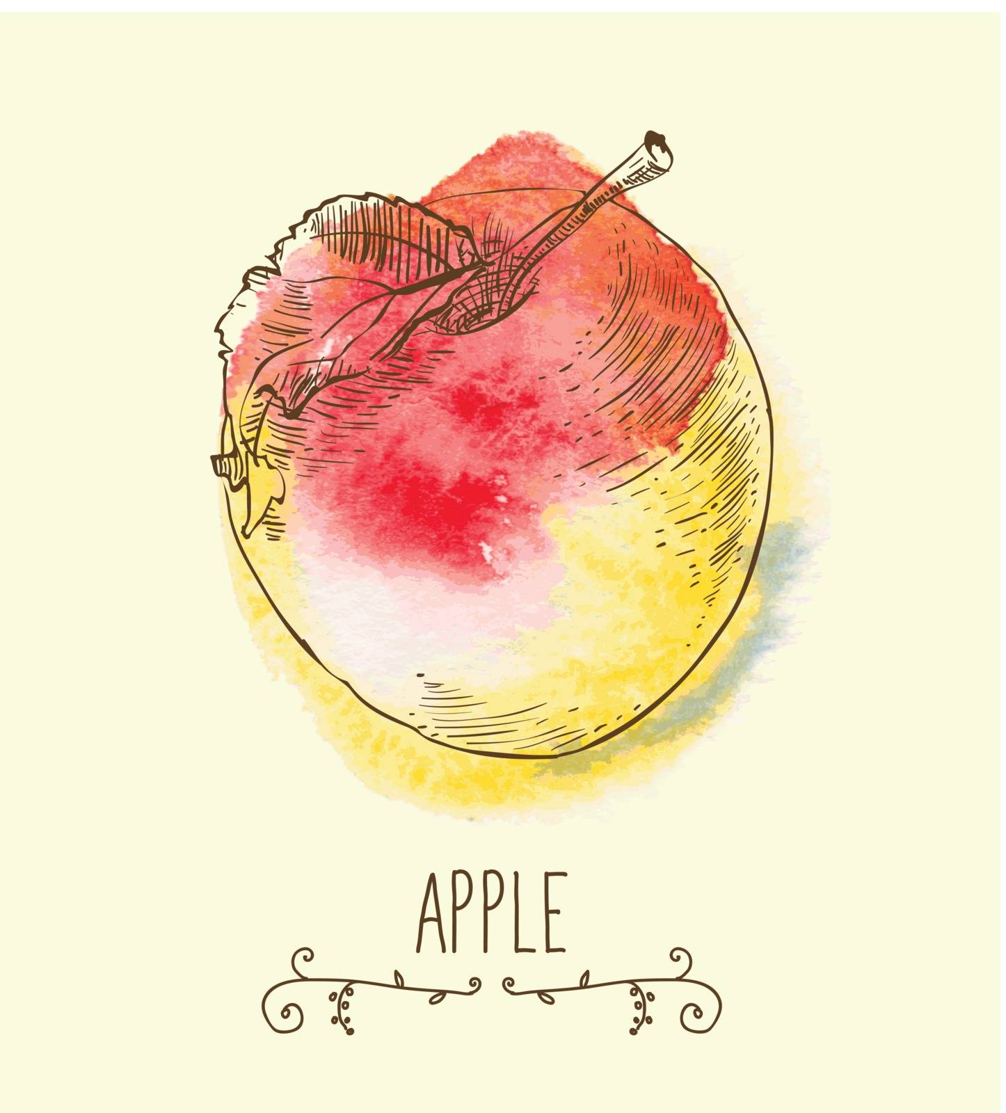 fresh useful eco-friendly apple vector illustration