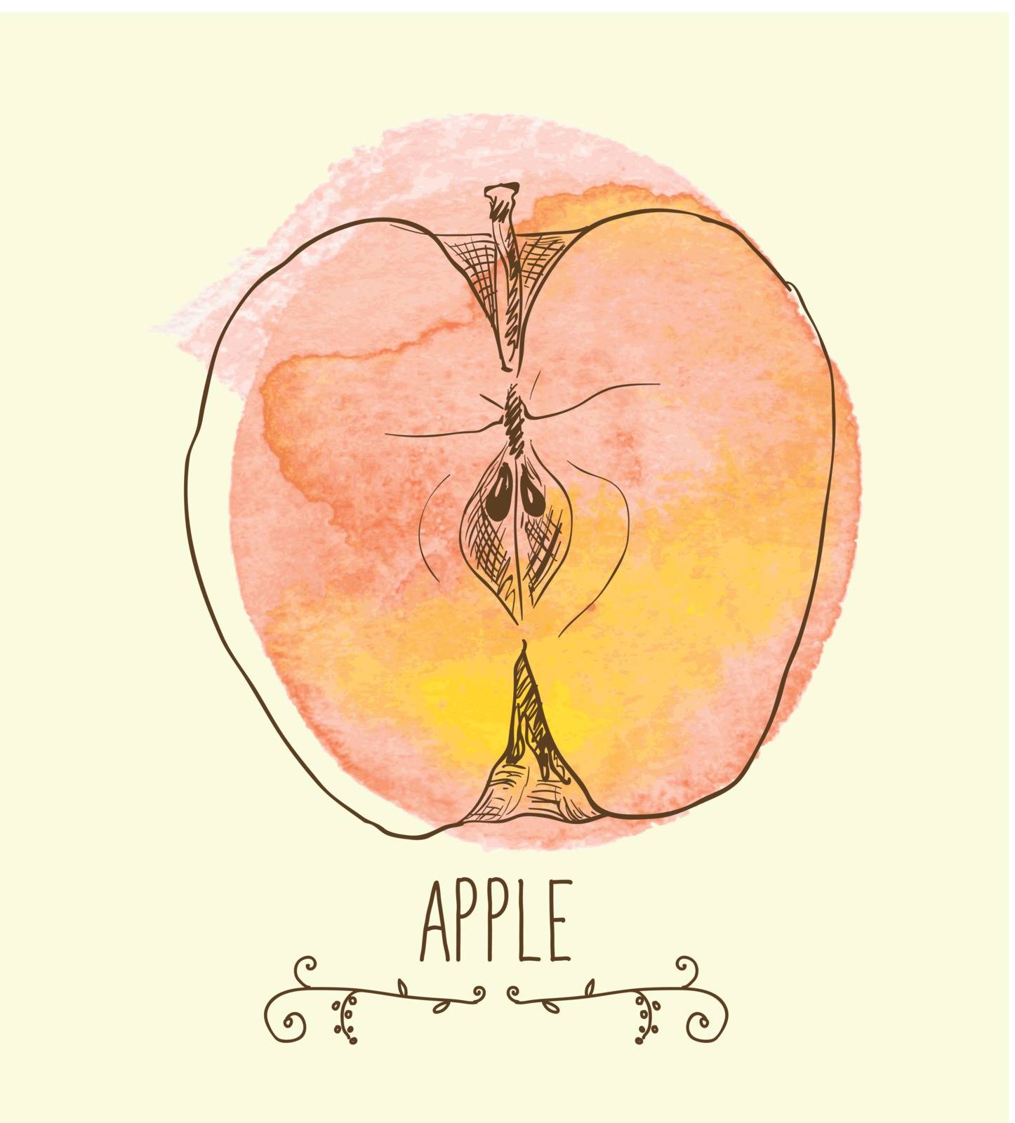 fresh useful eco-friendly apple vector illustration