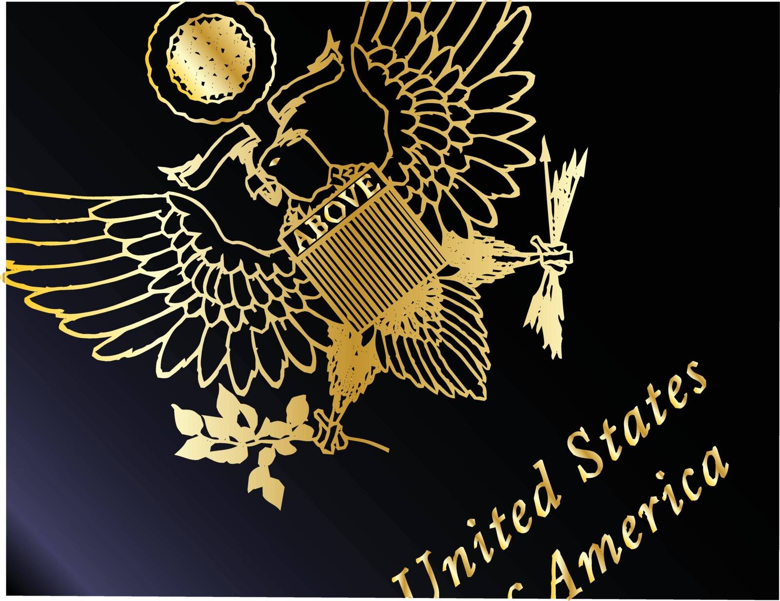 United States of America travel passport closeup