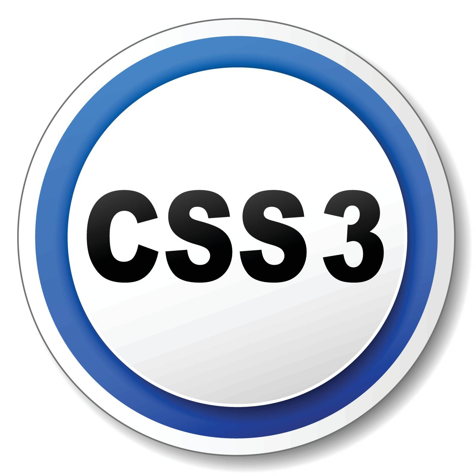 Illustration of white and blue css three icon