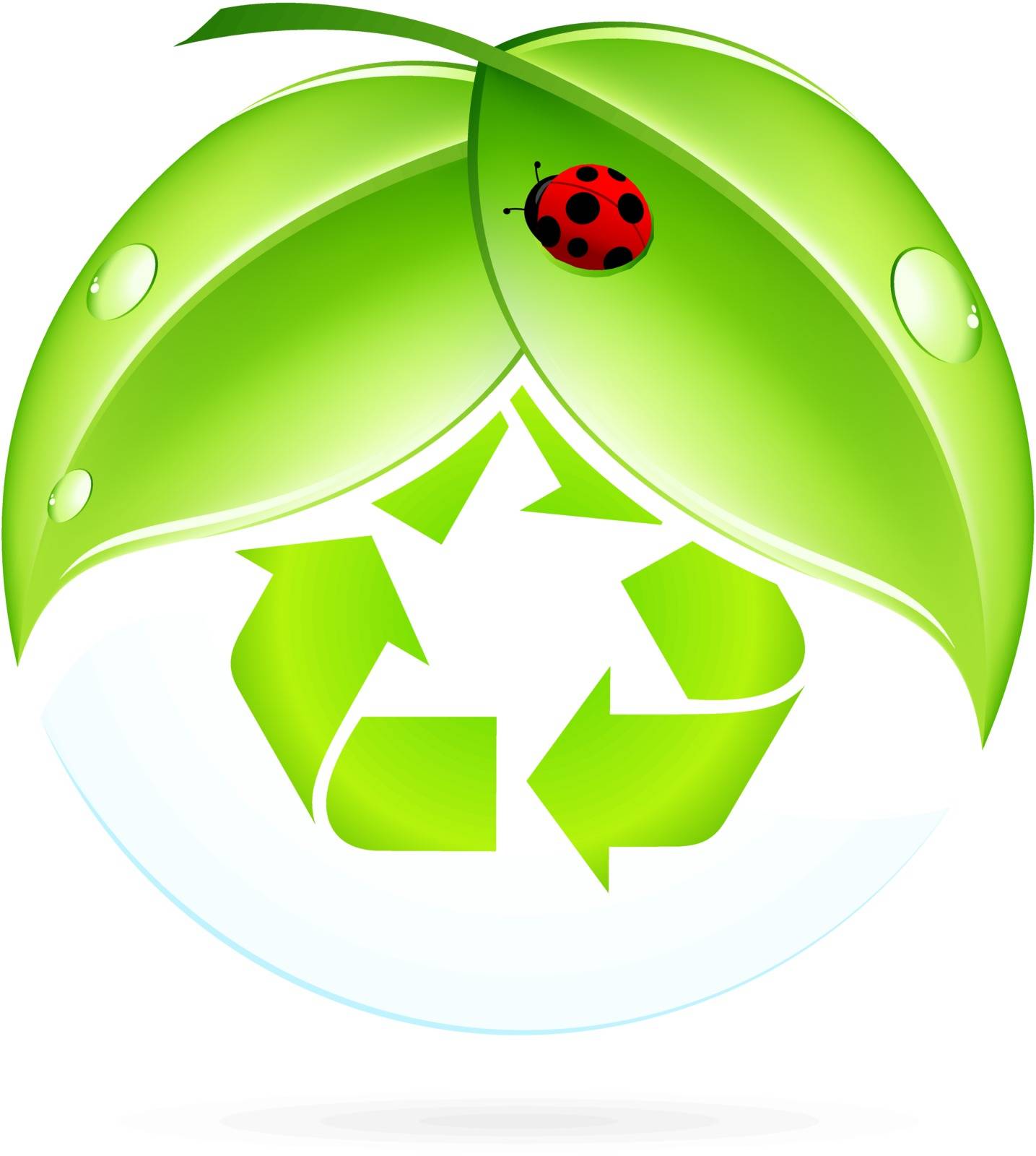 Recycling Symbol with Leaves and Ladybug