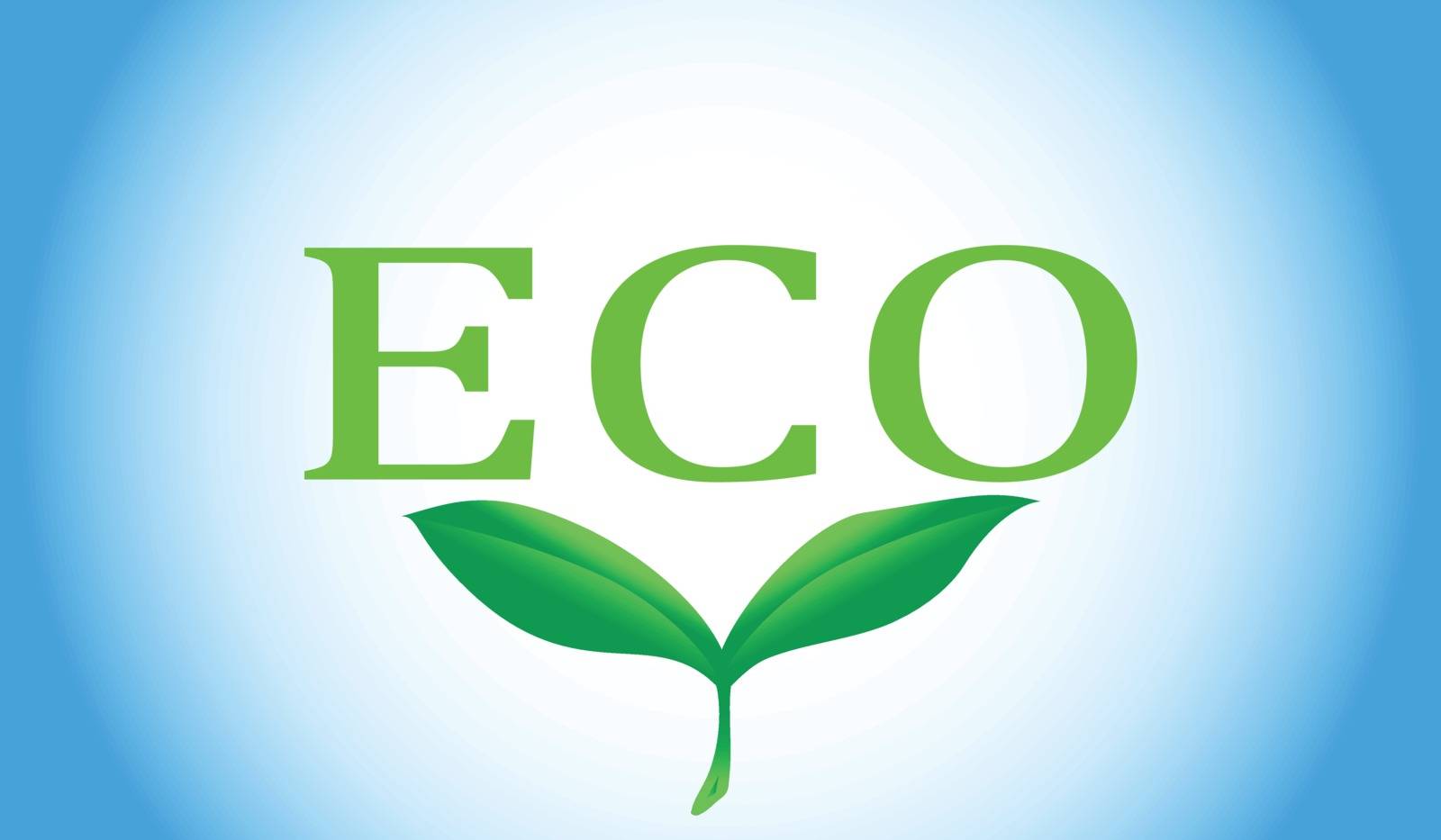 Eco word with green leaves on white and blue background