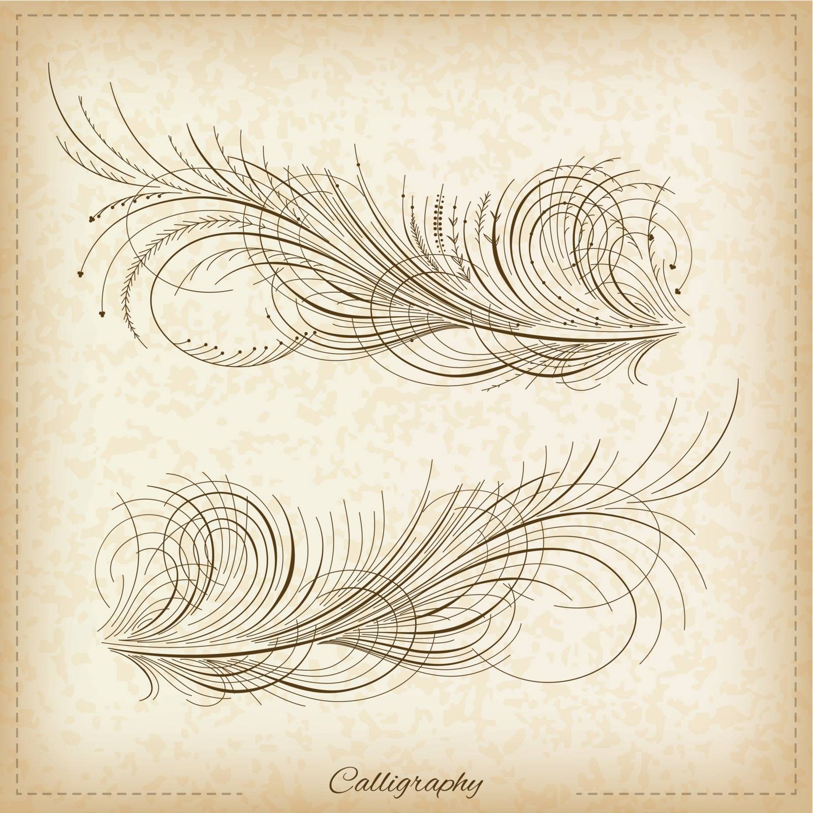 Calligraphy elements by vtorous