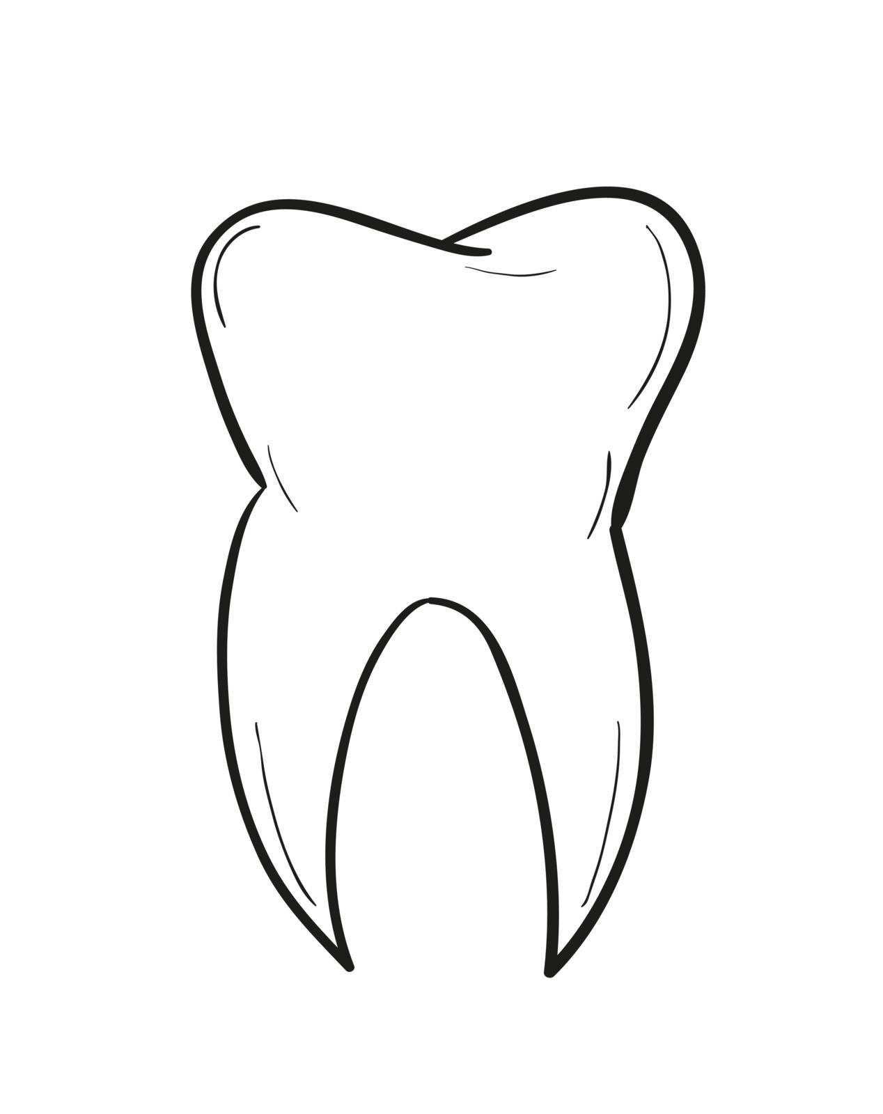 sketch of the tooth on white background, isolated