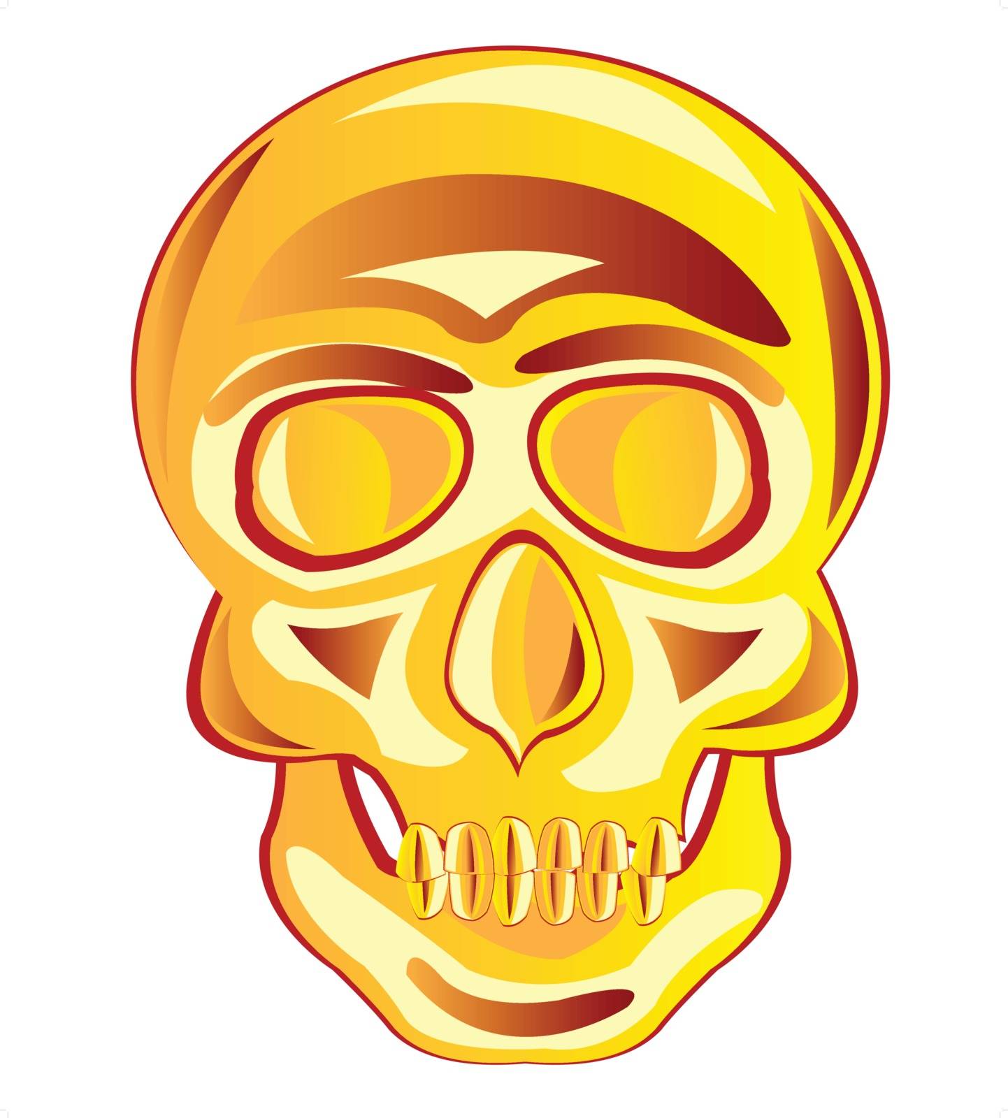 Vector illustration of the skull of the person on white background