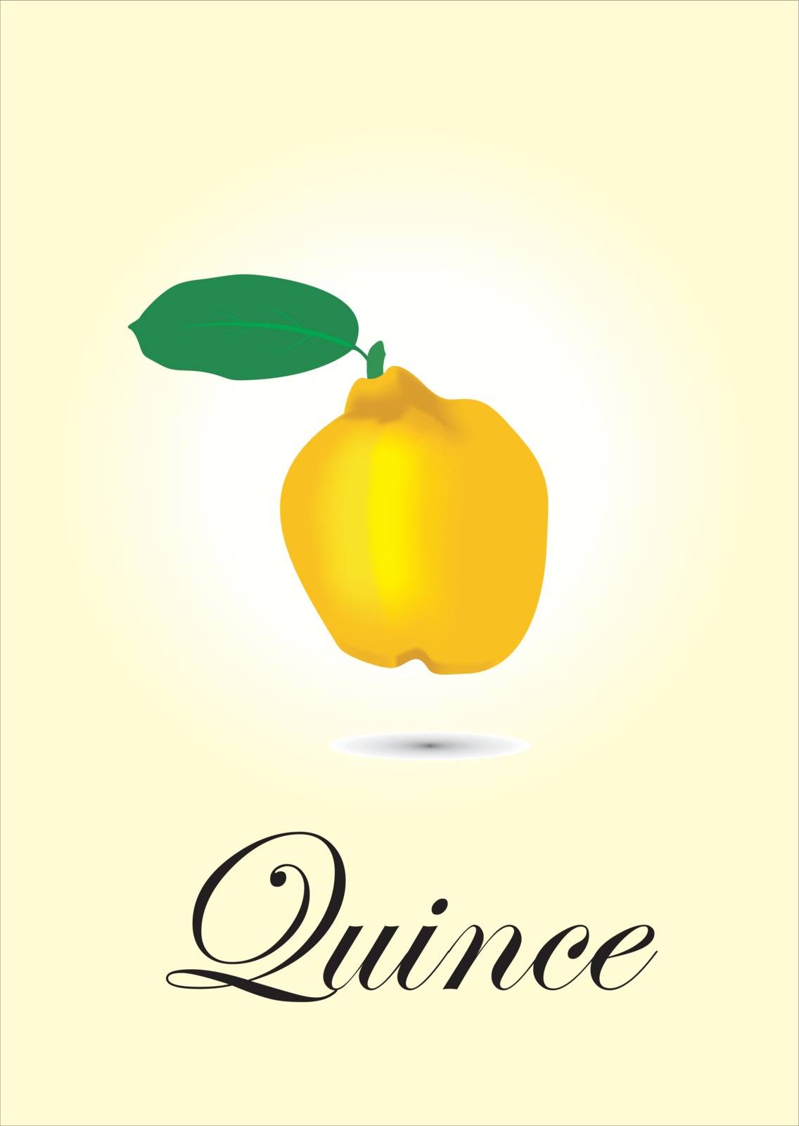 Quince chart vector illustration