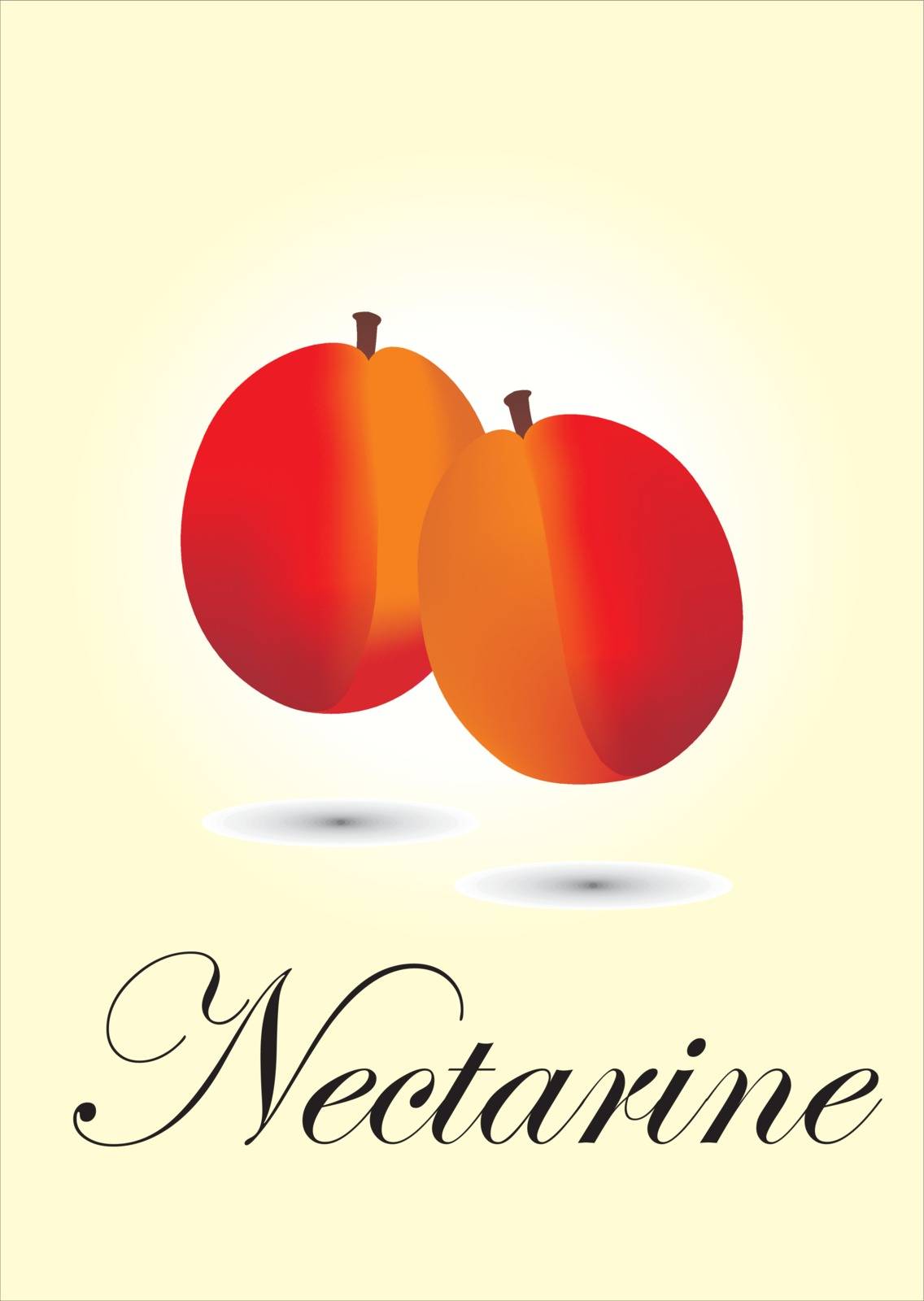 Nectarine chart vector illustration