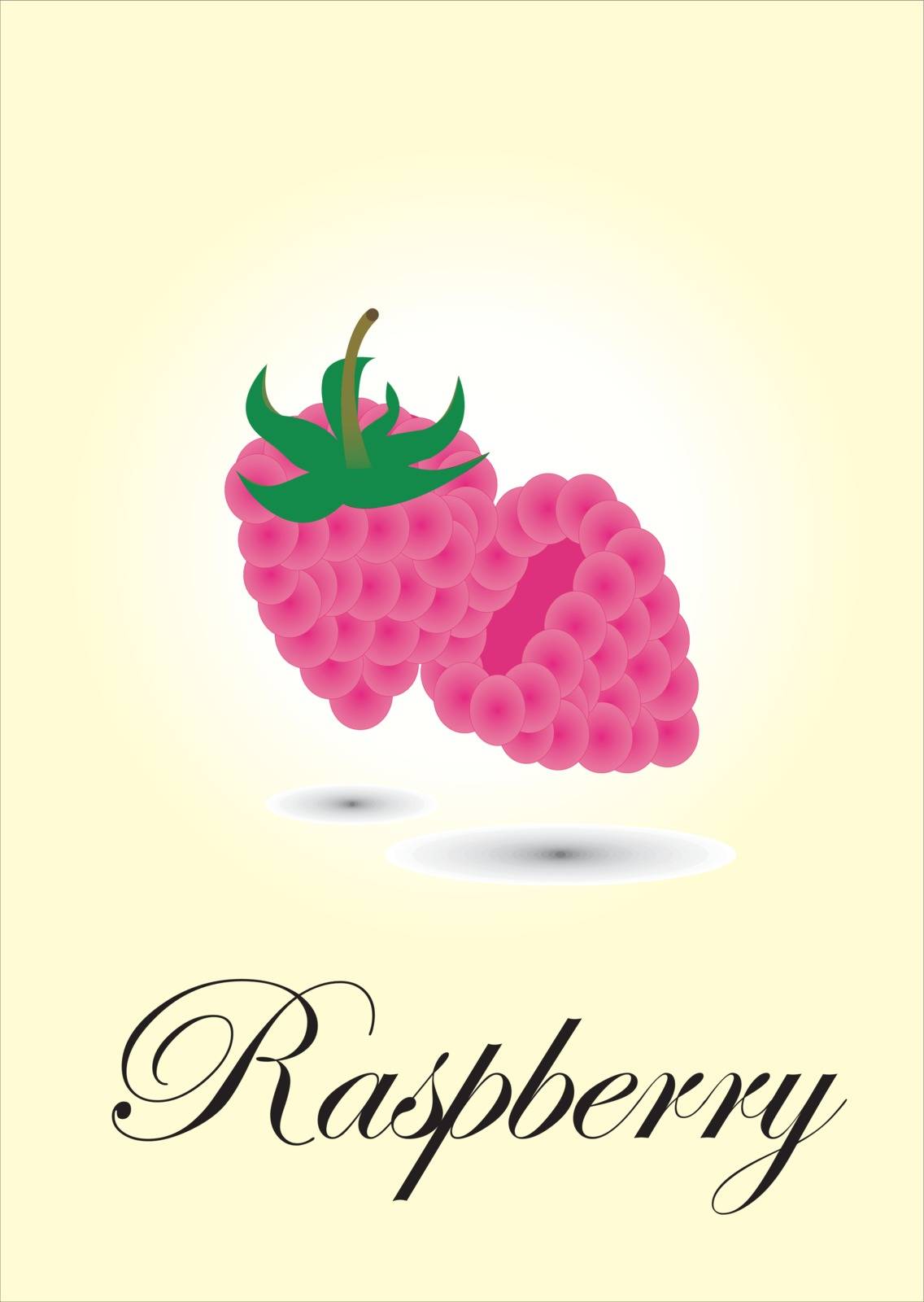 Raspberry chart vector illustration