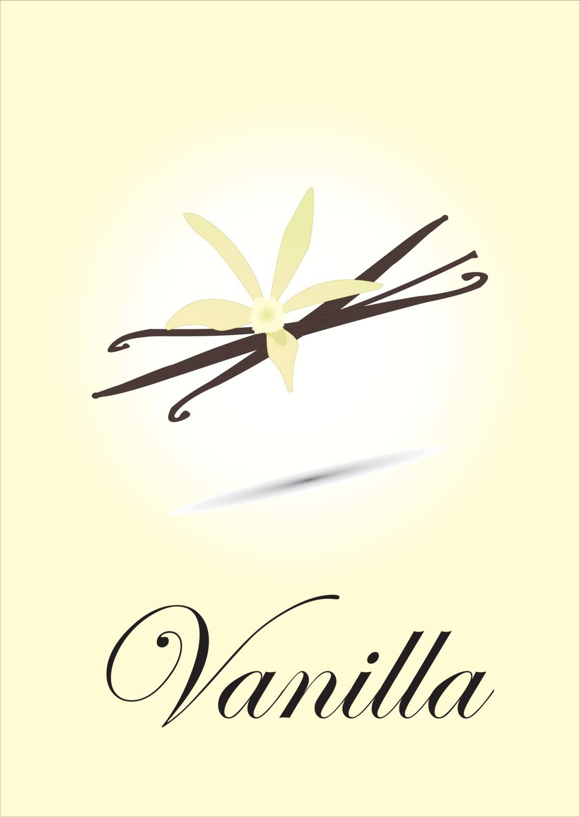 Vanilla chart vector illustration