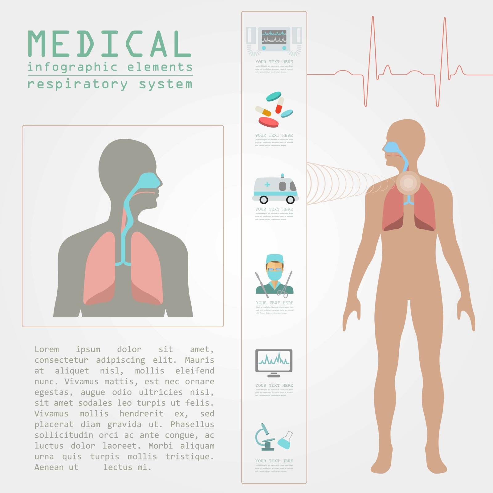 Medical and healthcare infographic, respiratory system infographics. Vector illustration