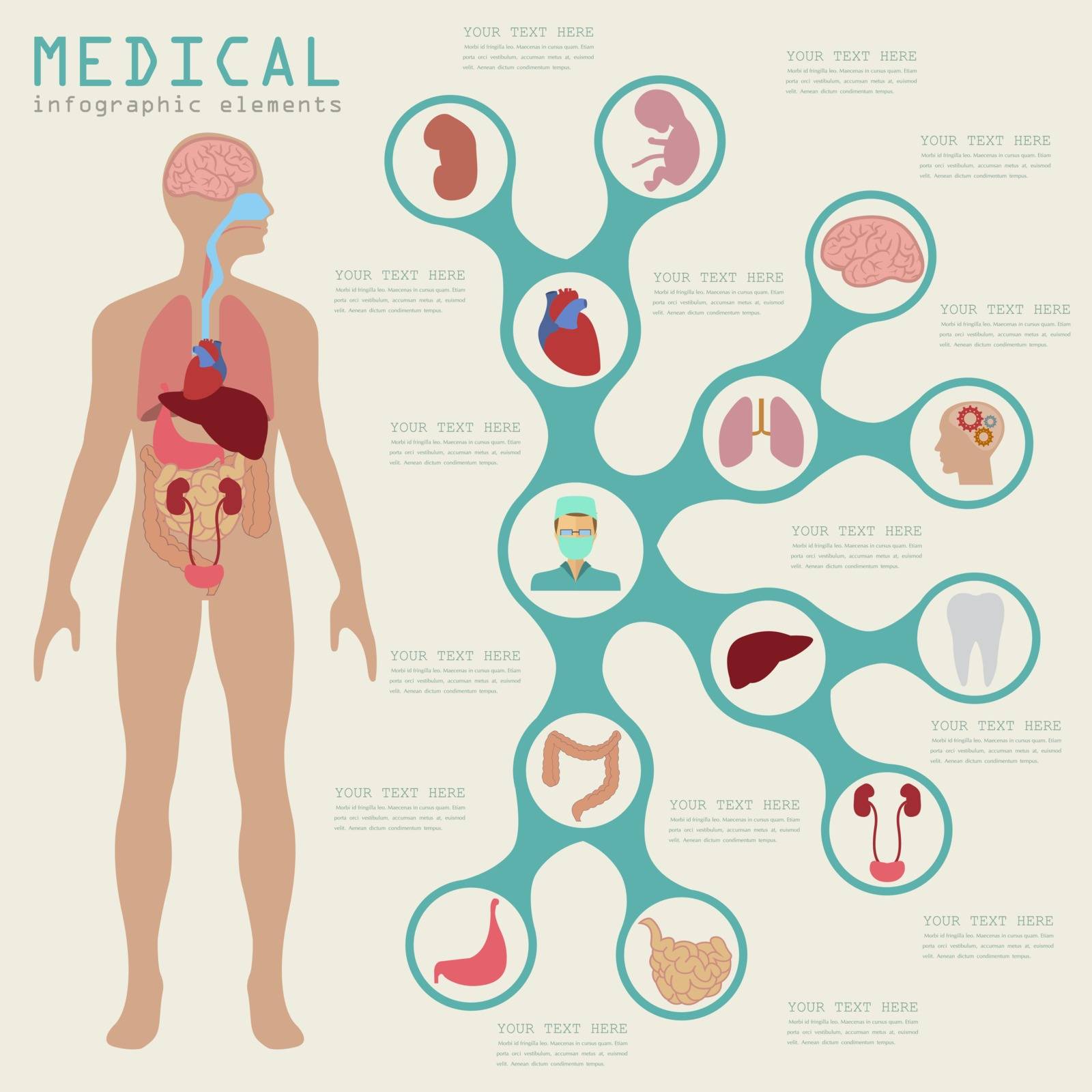 Medical and healthcare infographic, elements for creating infogr by A7880S