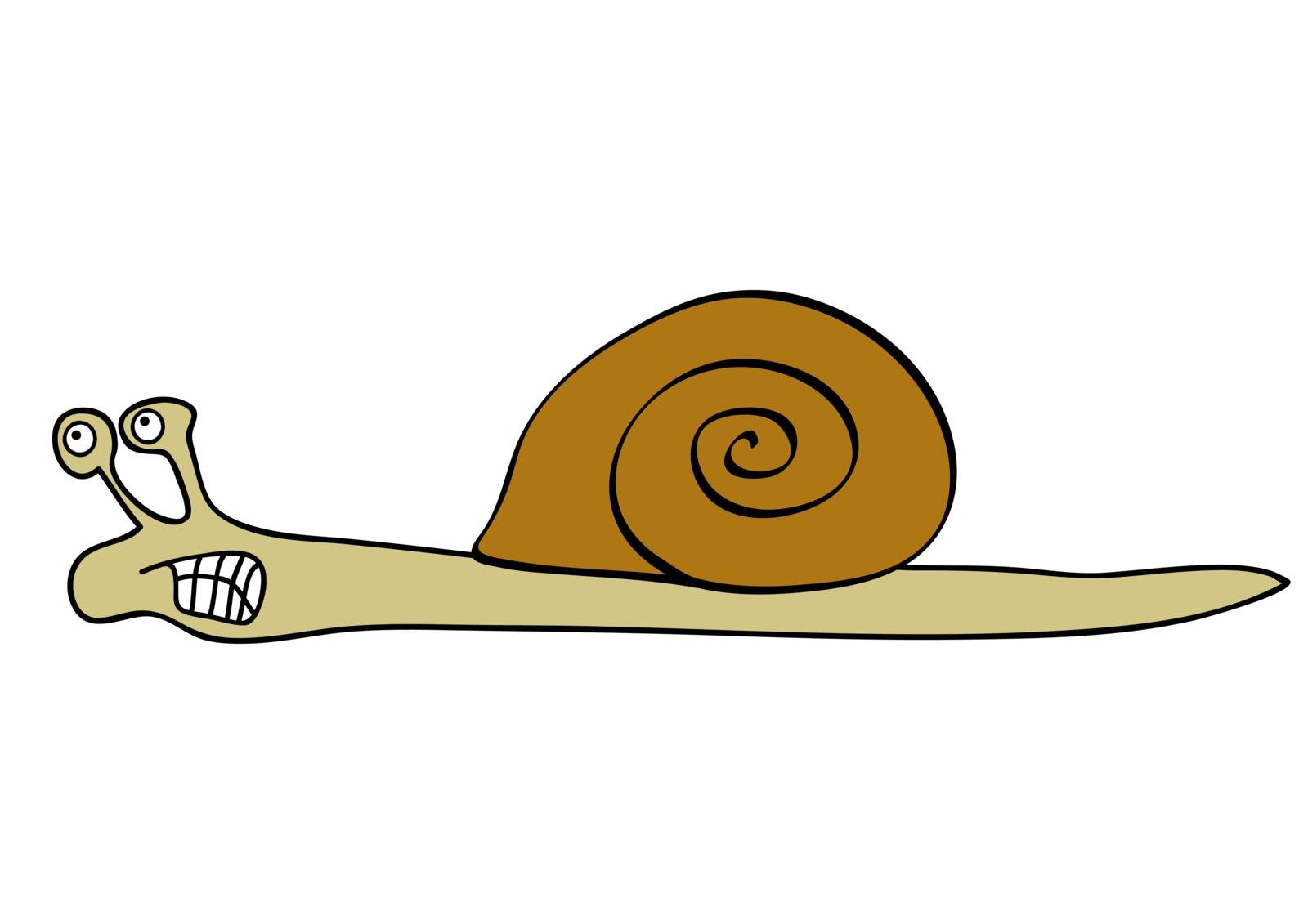 snail by Mibuch