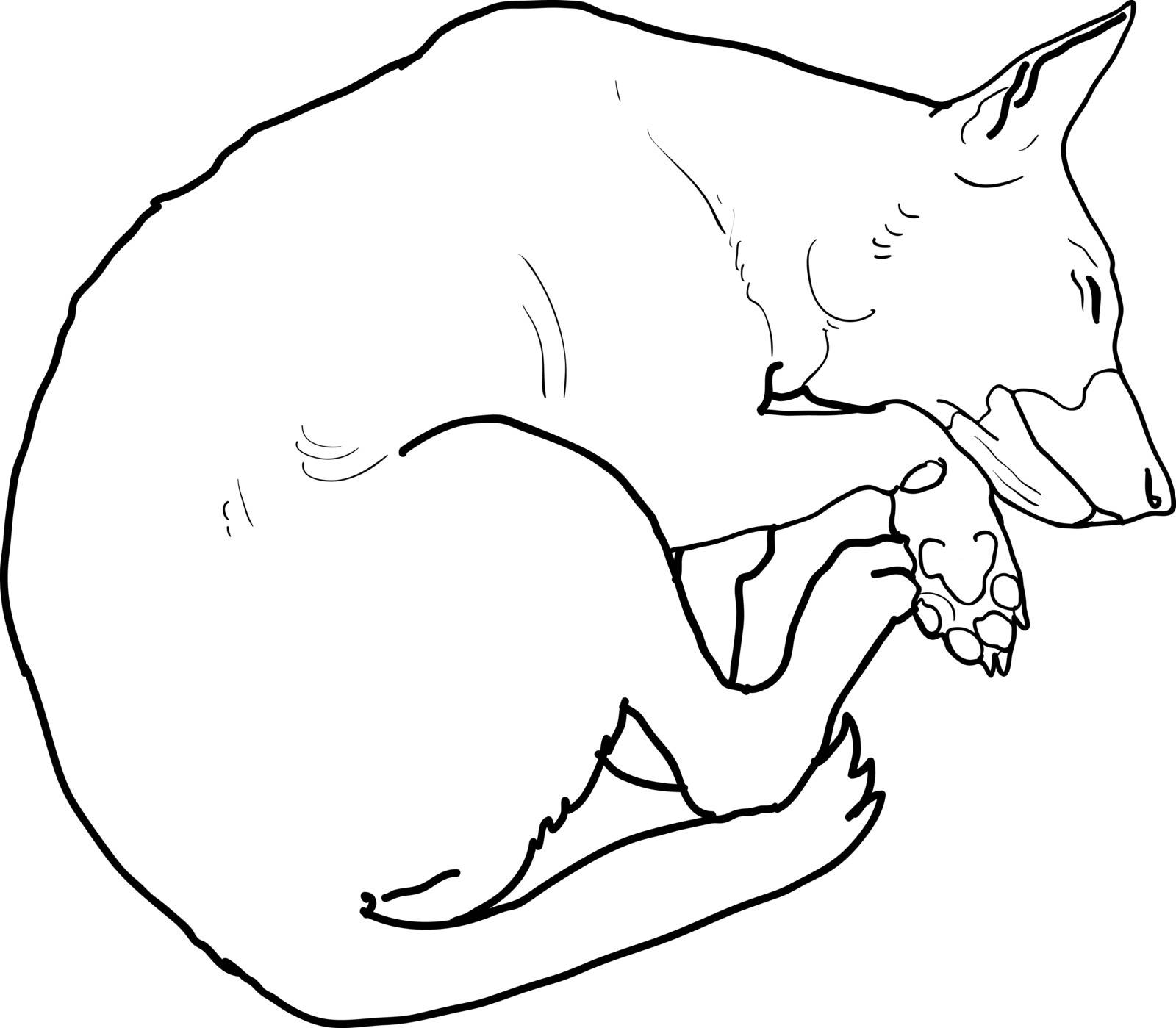 Drawing of cute dog sleeping 
