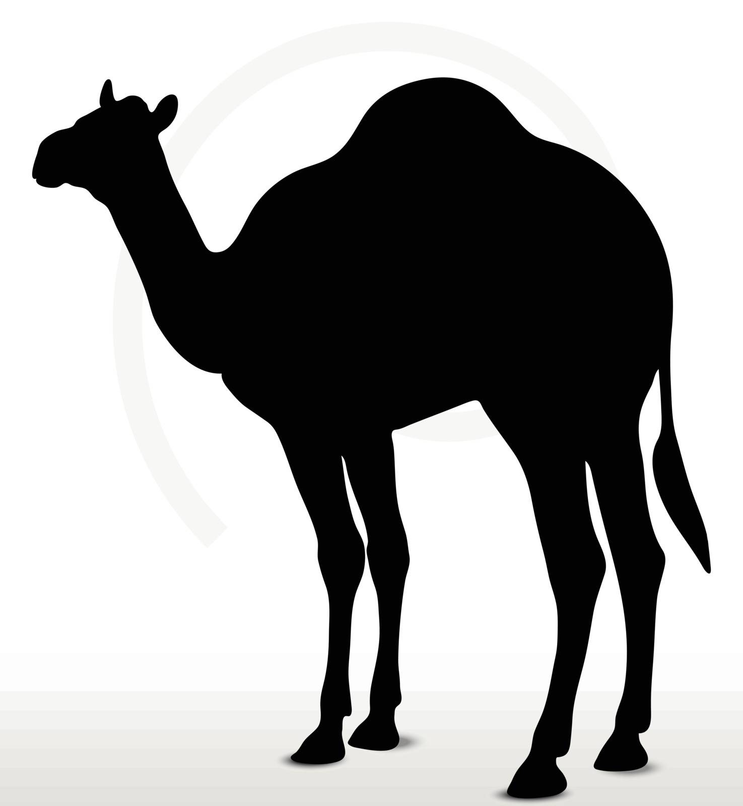 Vector Image - camel in default pose  isolated on white background