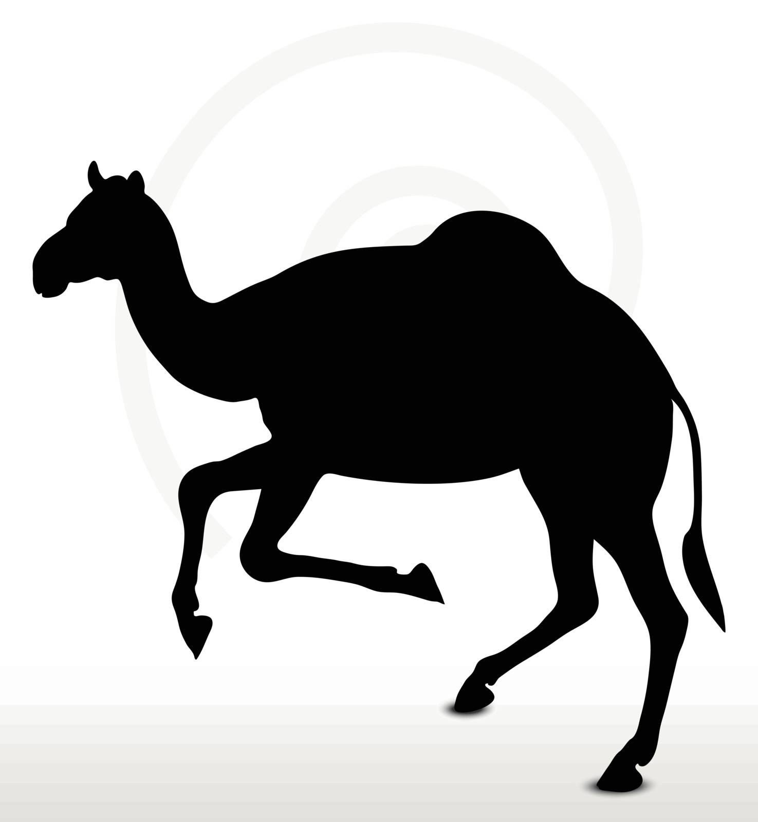 Vector Image - camel in Running pose  isolated on white background