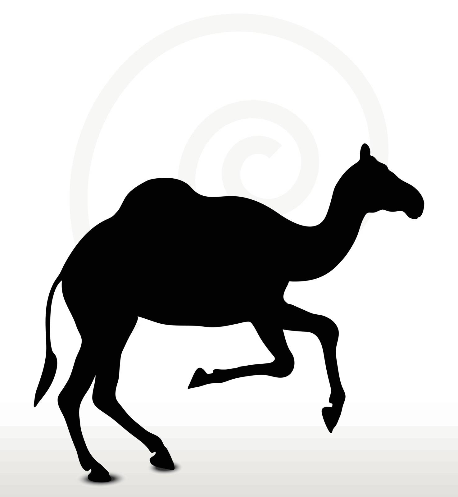 Vector Image - camel in Running pose  isolated on white background