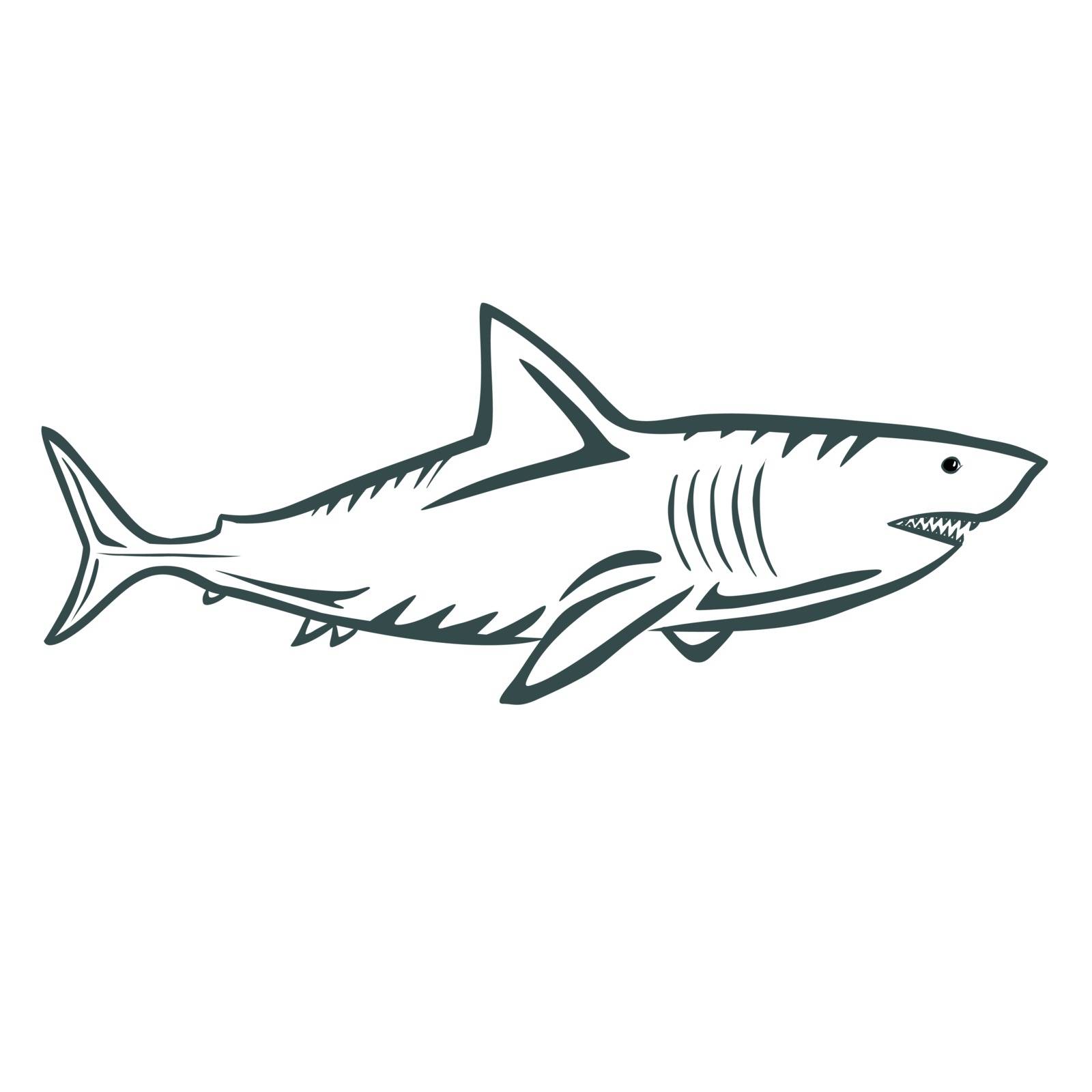 Vector illustration : Shark on a white background.