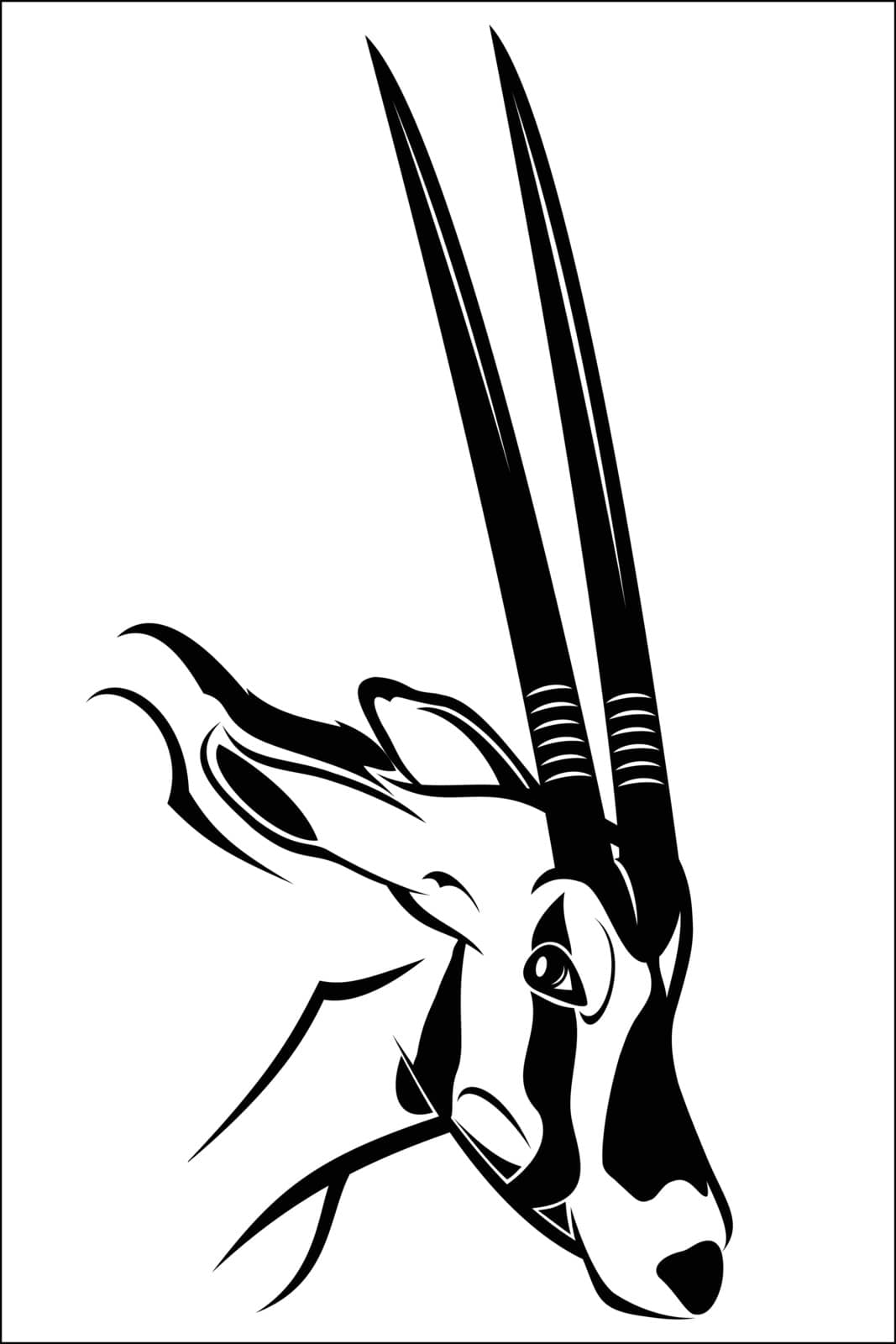 Vector illustration : Gemsbok antelope on a white background.