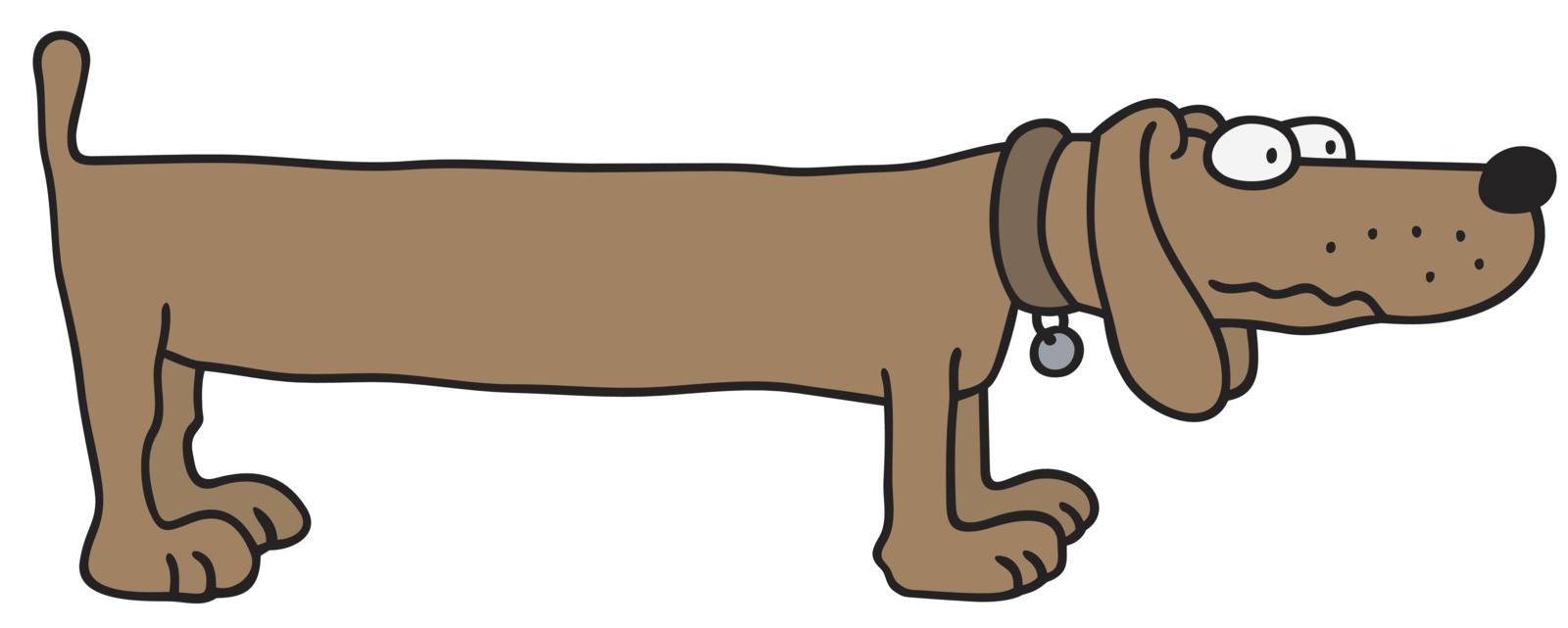 Hand drawing of a funny little brown dog