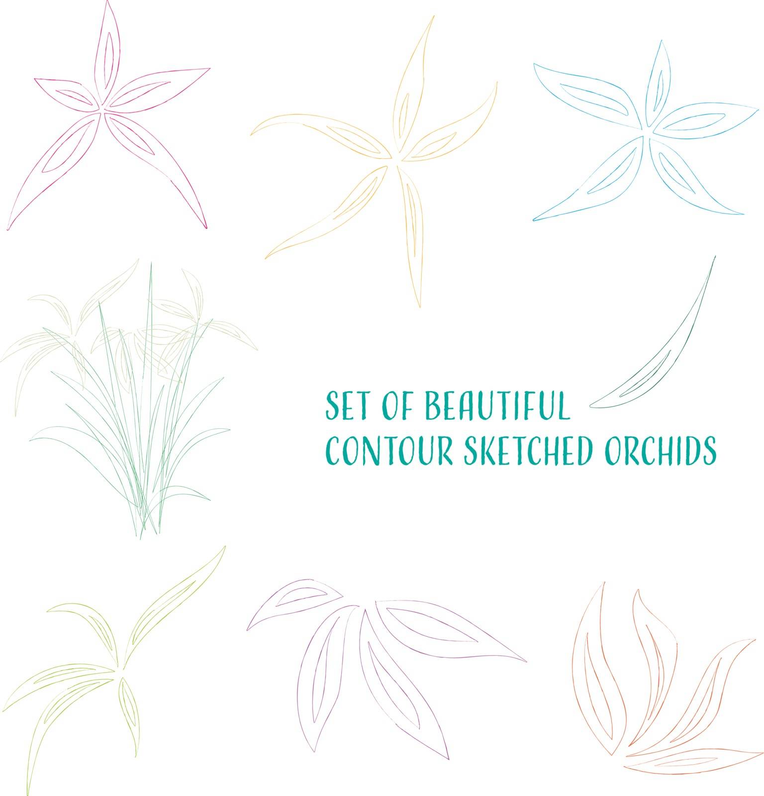 Set of beautiful colored contour sketched orchid flowers
