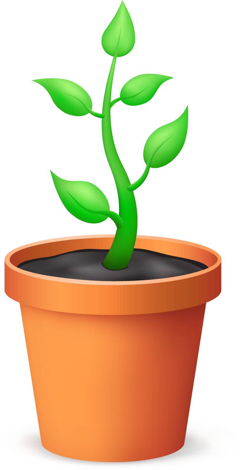 The flowerpot and growing plant on the white background